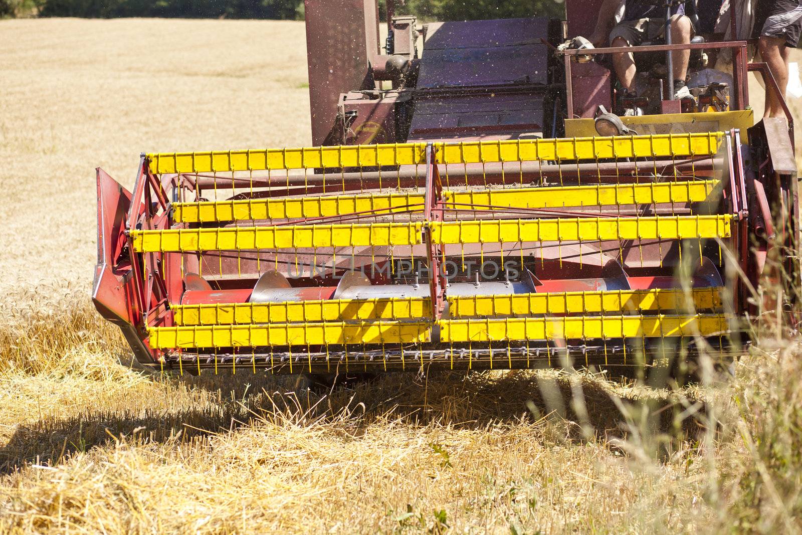 Combine Harvester in wheat corn field