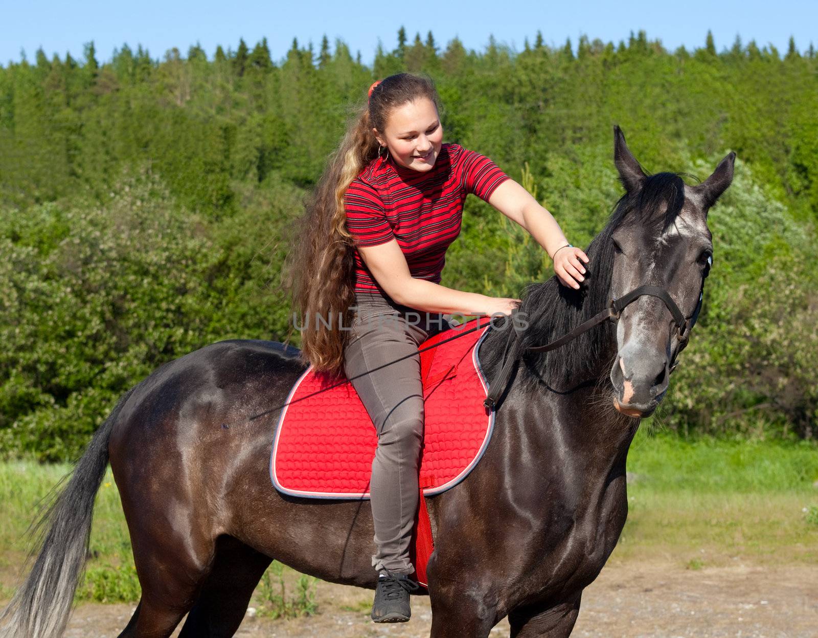 A girl with her hair stroked the horse against the backdrop of green forest