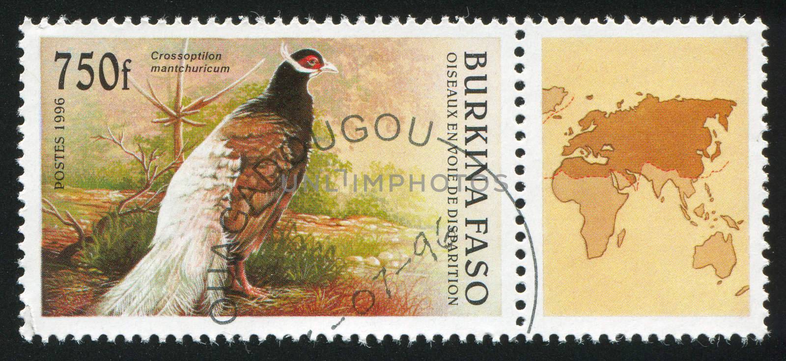 BURKINA FASO CIRCA 1996: stamp printed by Burkina Faso, shows Pheasant, circa 1996