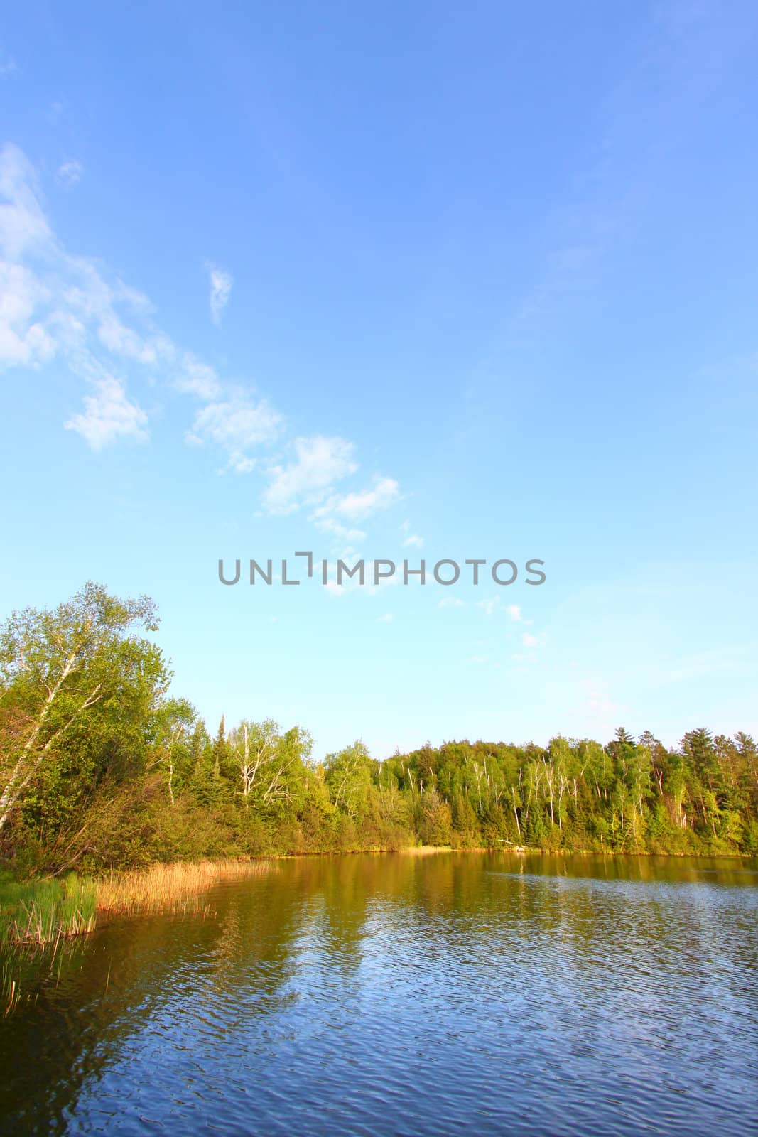 Evening view of Sweeney Lake in the beautiful northwoods of Wisconsin.