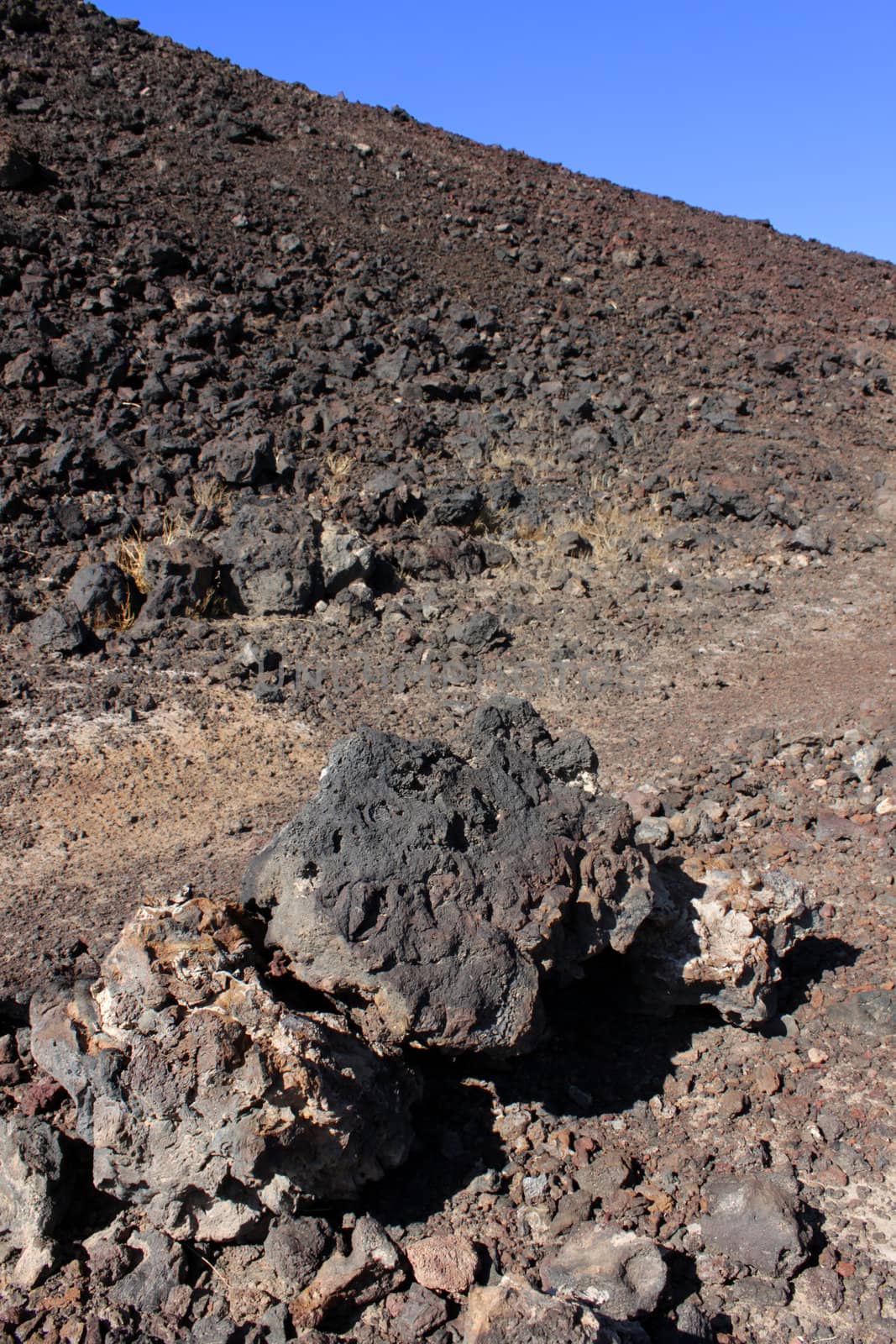 Volcanic rock scatters the desert around Amboy Crater National Natural Landmark in California.