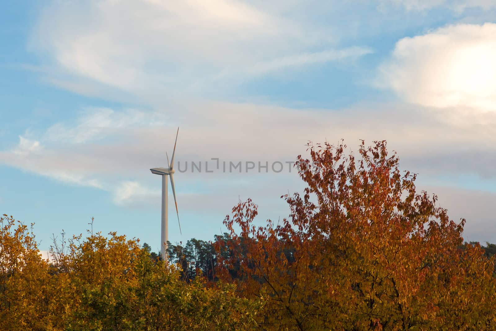 Green energy from wind: large wind turbine high above fall-colored tree tops.