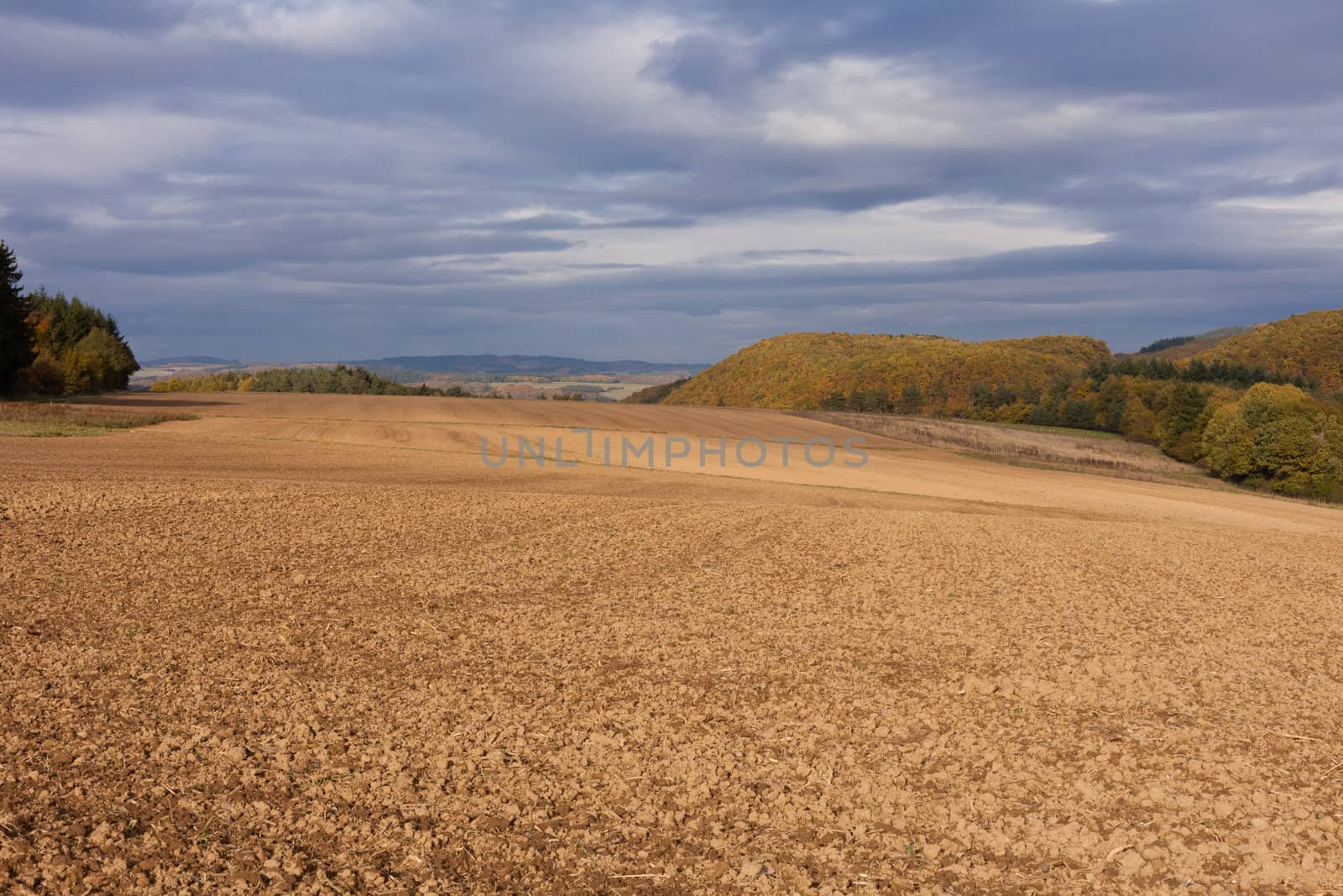Freshly plowed farmland in Eifel region, Germany, ready for sowing winter grain.