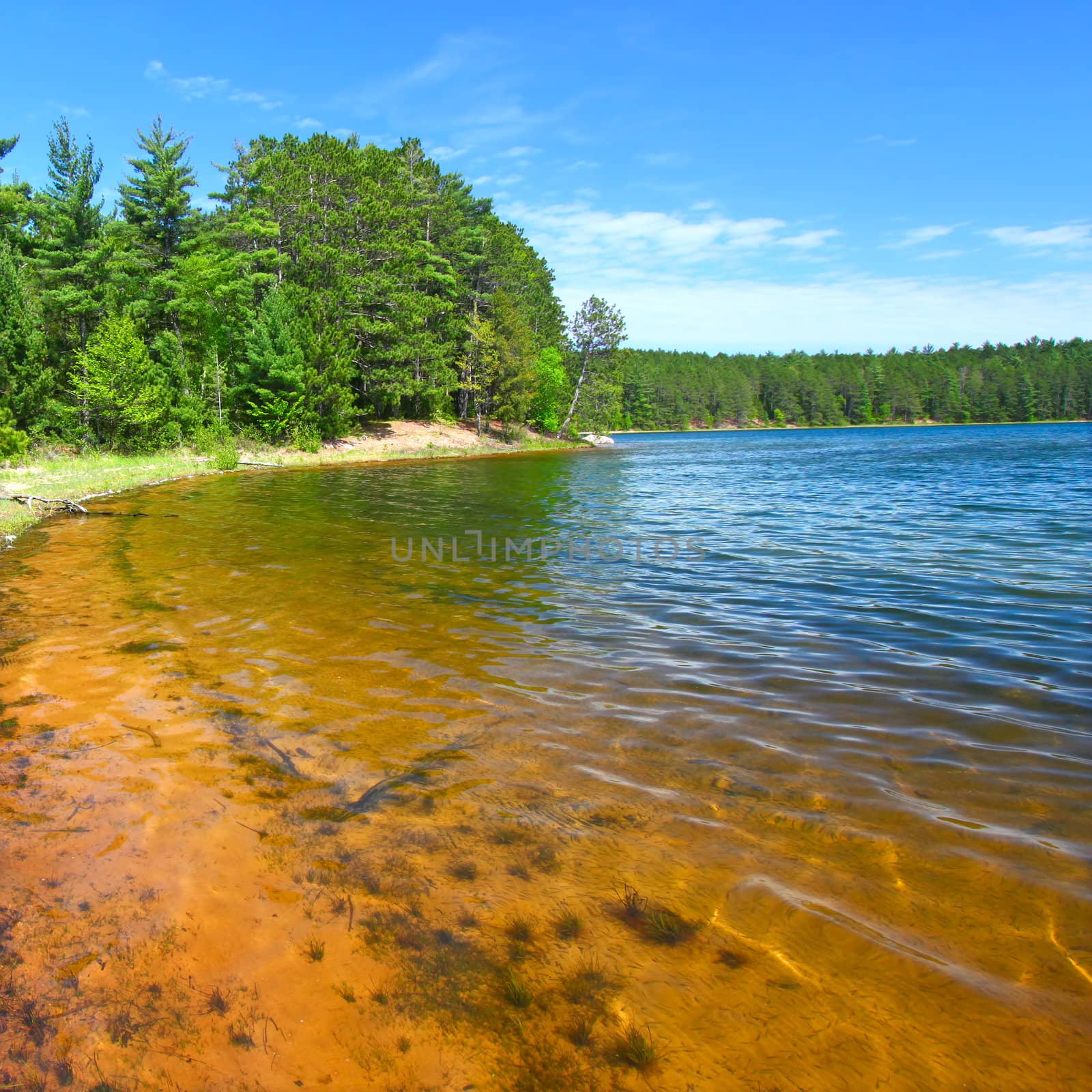 Beautiful sunny day on a northwoods Wisconsin Lake.