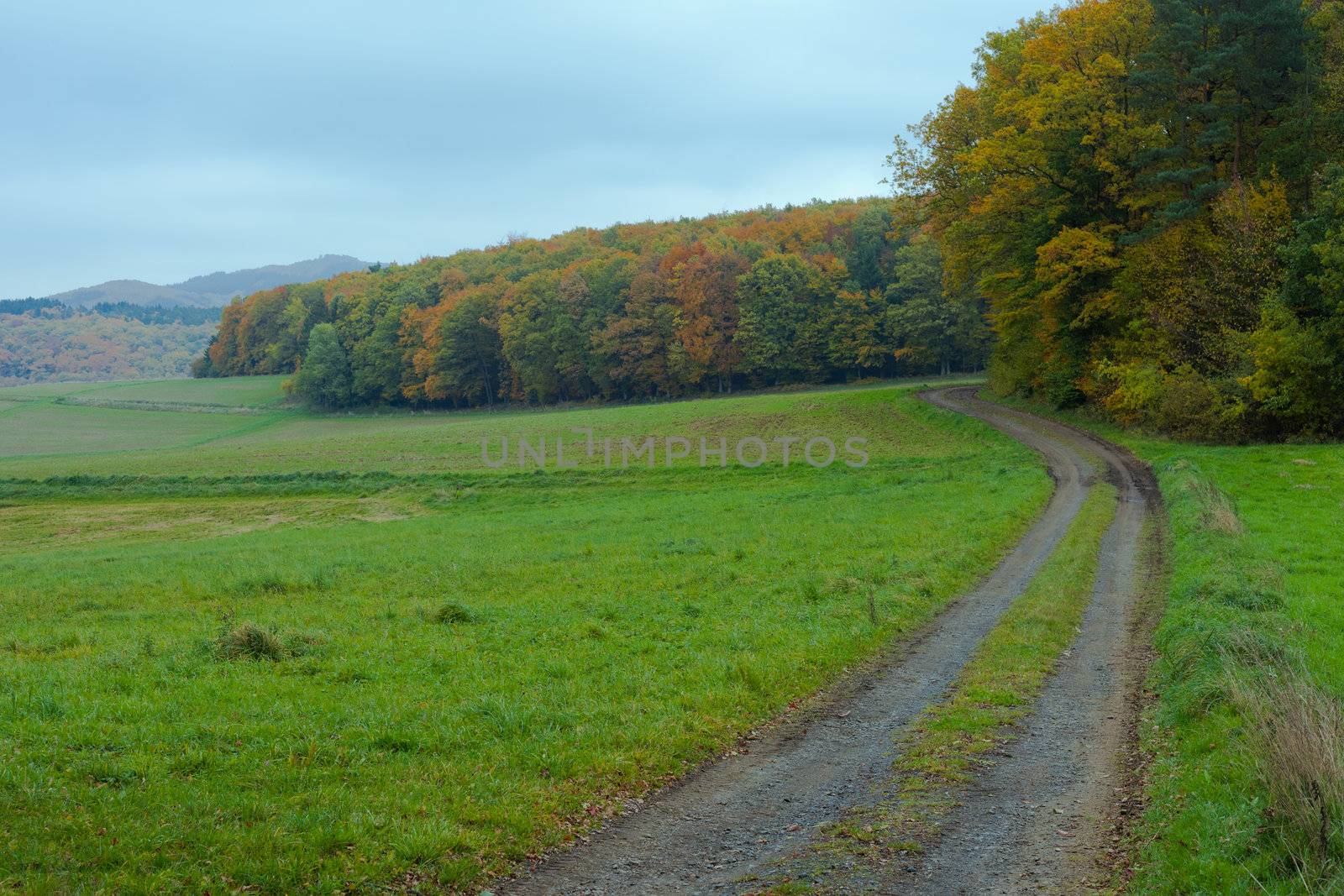 Eifel Landscape, Germany by PiLens