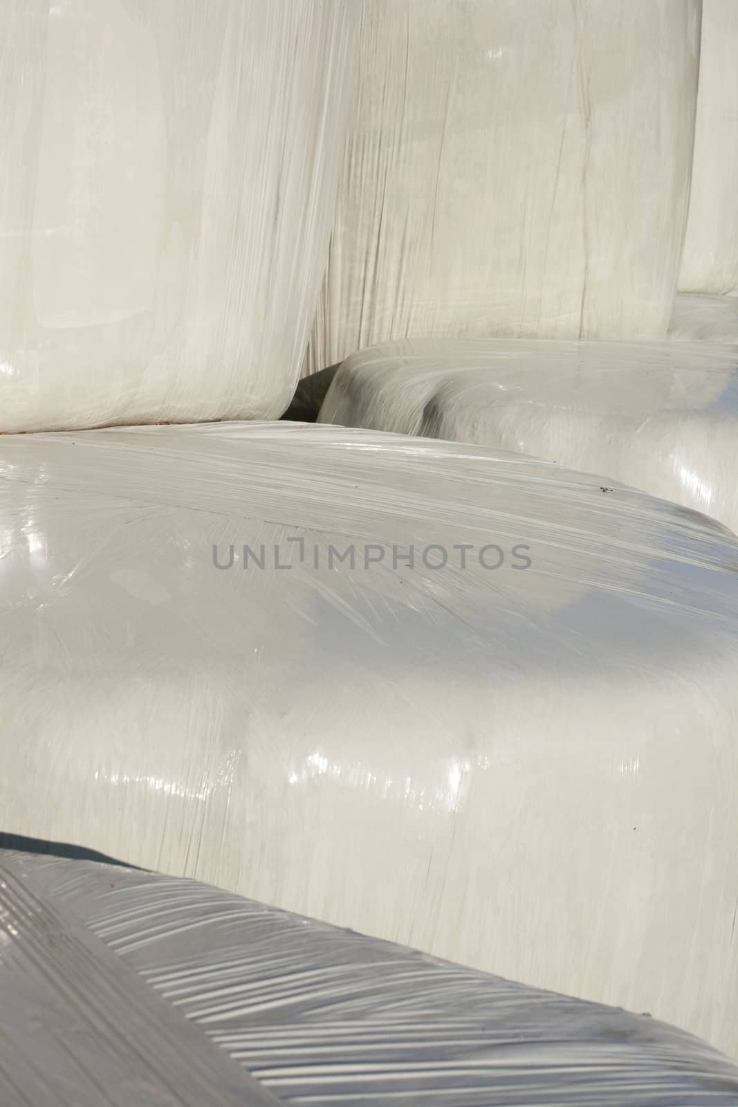 Silage (or Haylage): Bales of hay sealed in plastic wrapper for fermentation to feed livestock.