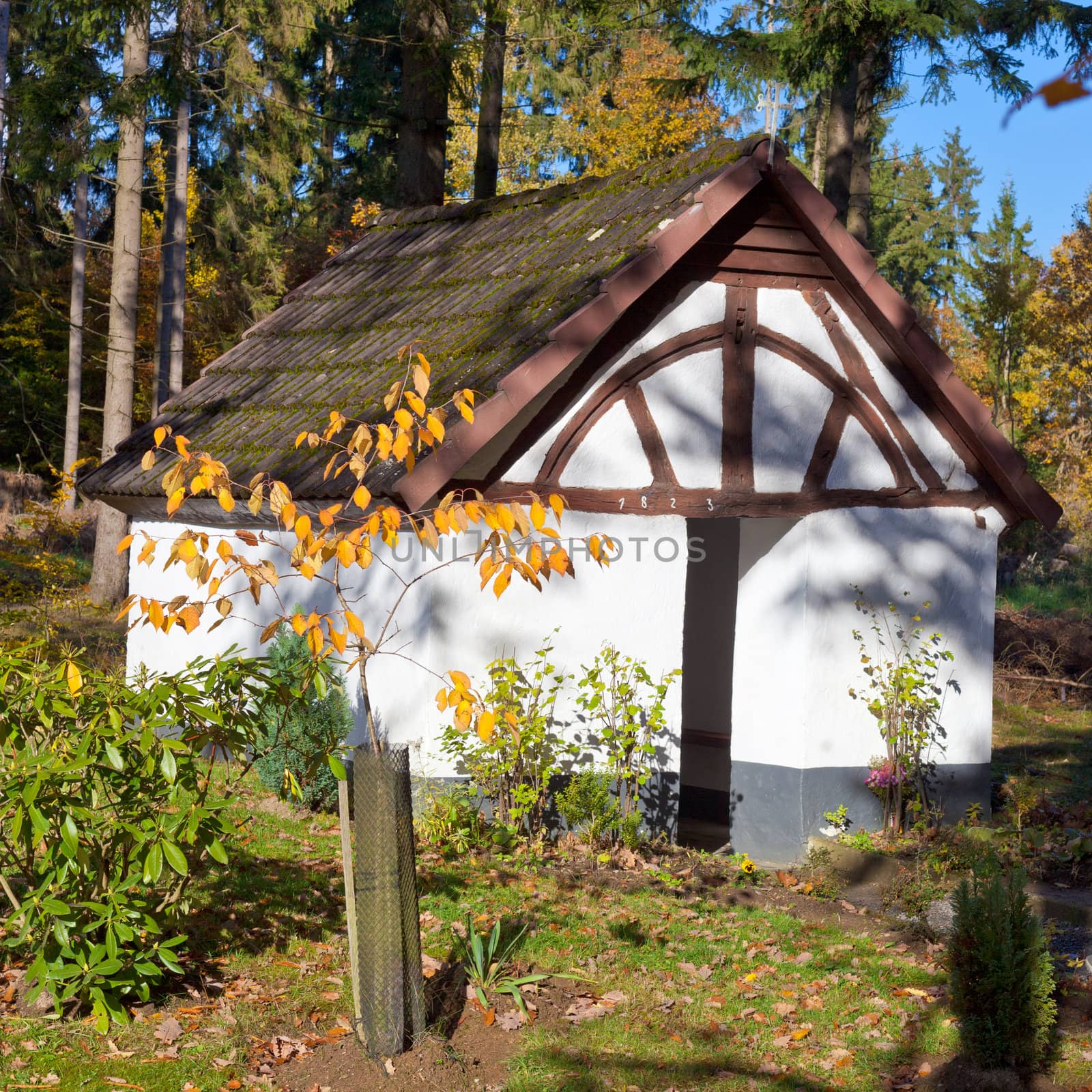 Historic Chapel in fall forest, Eifel, Germany by PiLens