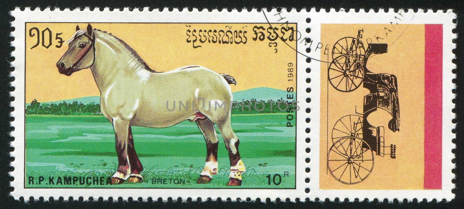 CAMBODIA - CIRCA 1989: stamp printed by Cambodia, shows horse, circa 1989.