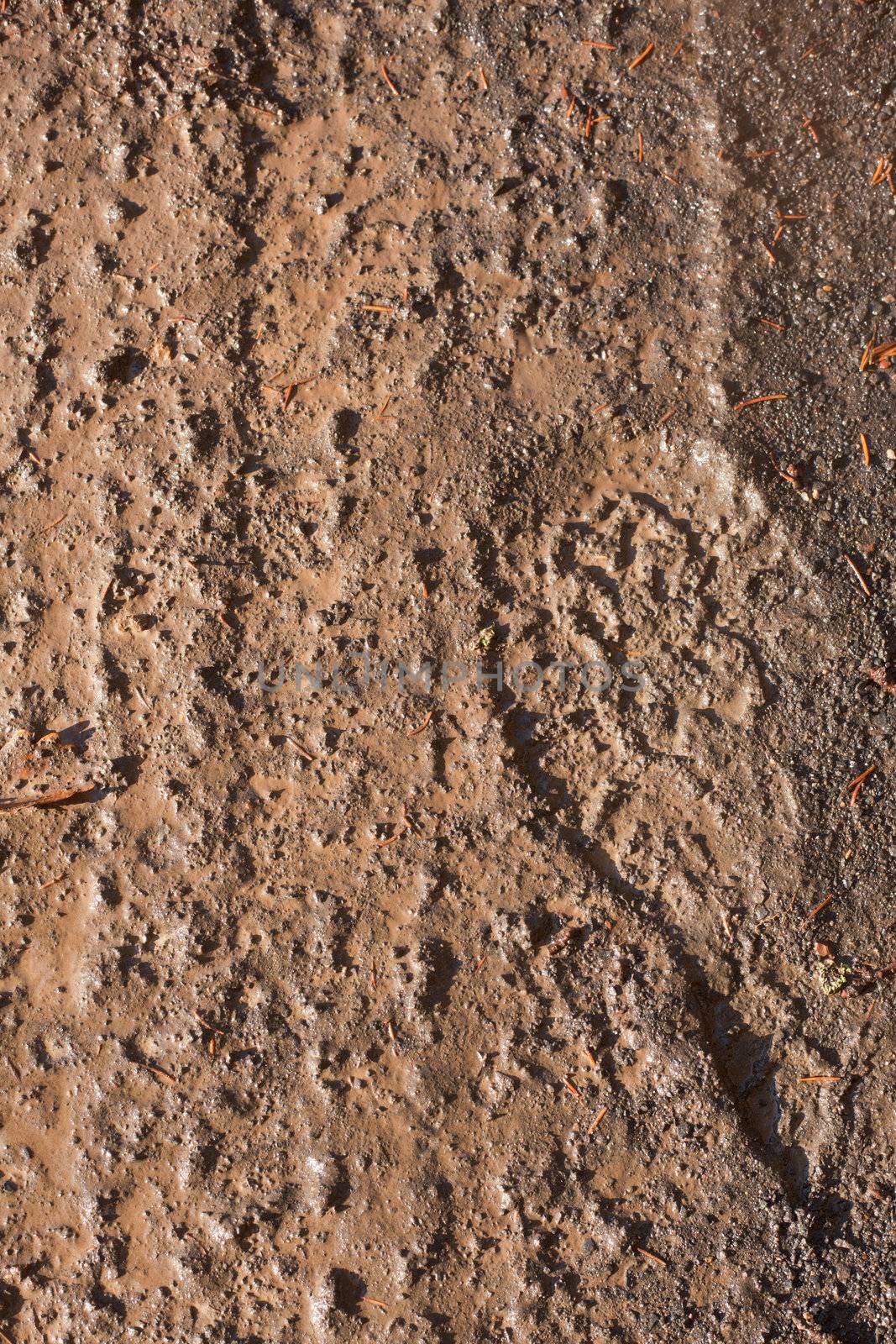 Tire tracks and foot print by PiLens