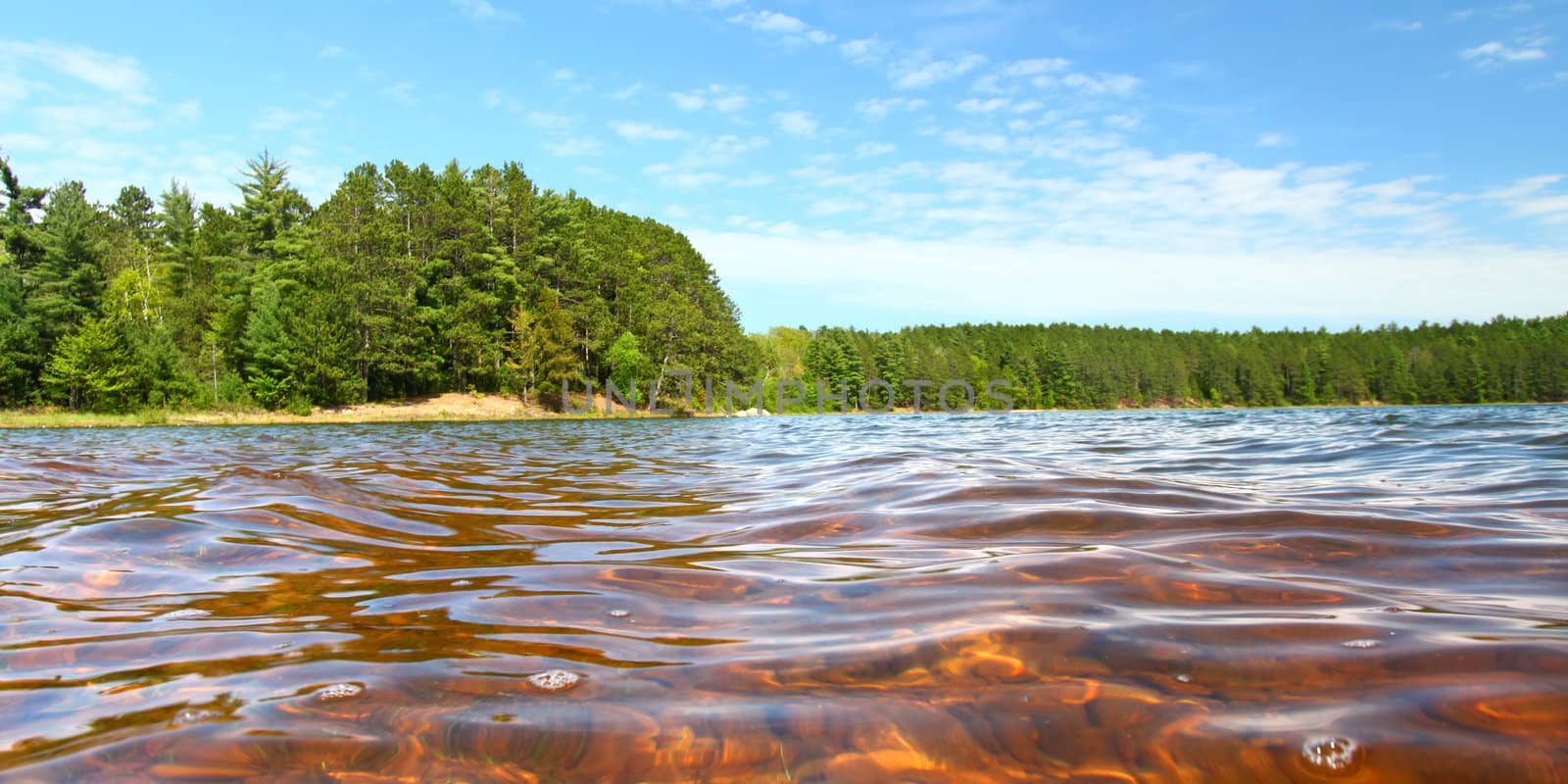 Clear Waters of Northwoods Wisconsin by Wirepec
