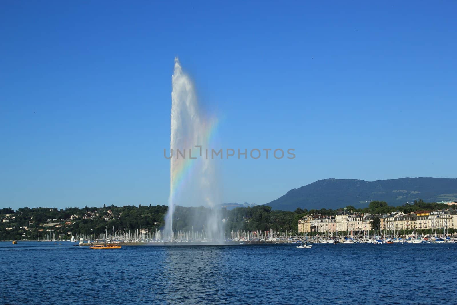 View of Geneva, Switzerland by Elenaphotos21