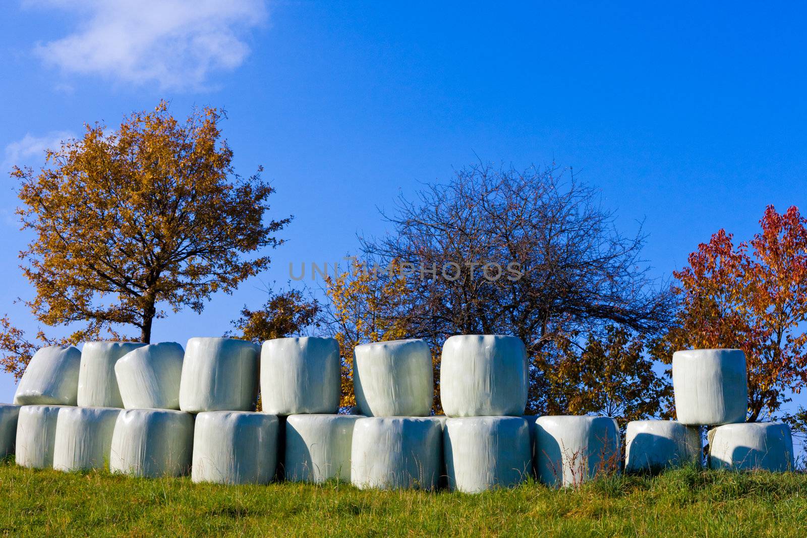 Silage (or Haylage): Bales of hay sealed in plastic wrapper for fermentation to feed livestock.