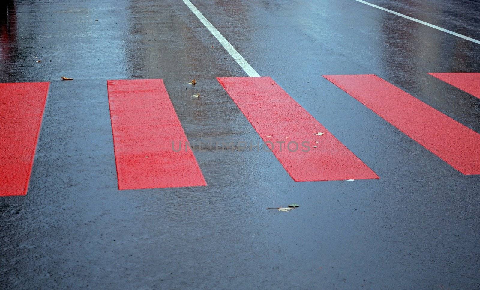 drops of rain water on a fresh asphalt by Sergieiev