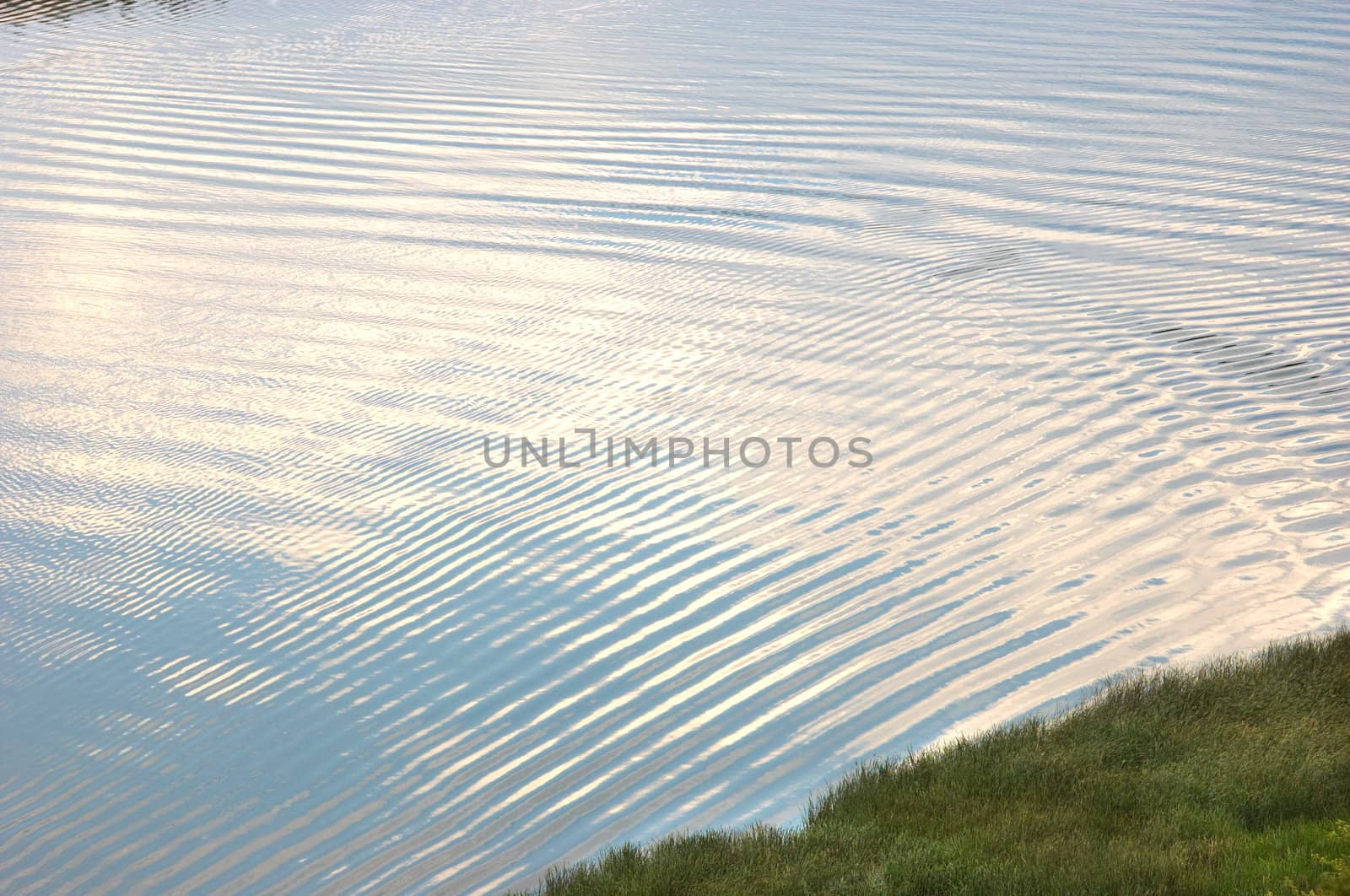 rippled water surface on the river. reflections of the sky on it.