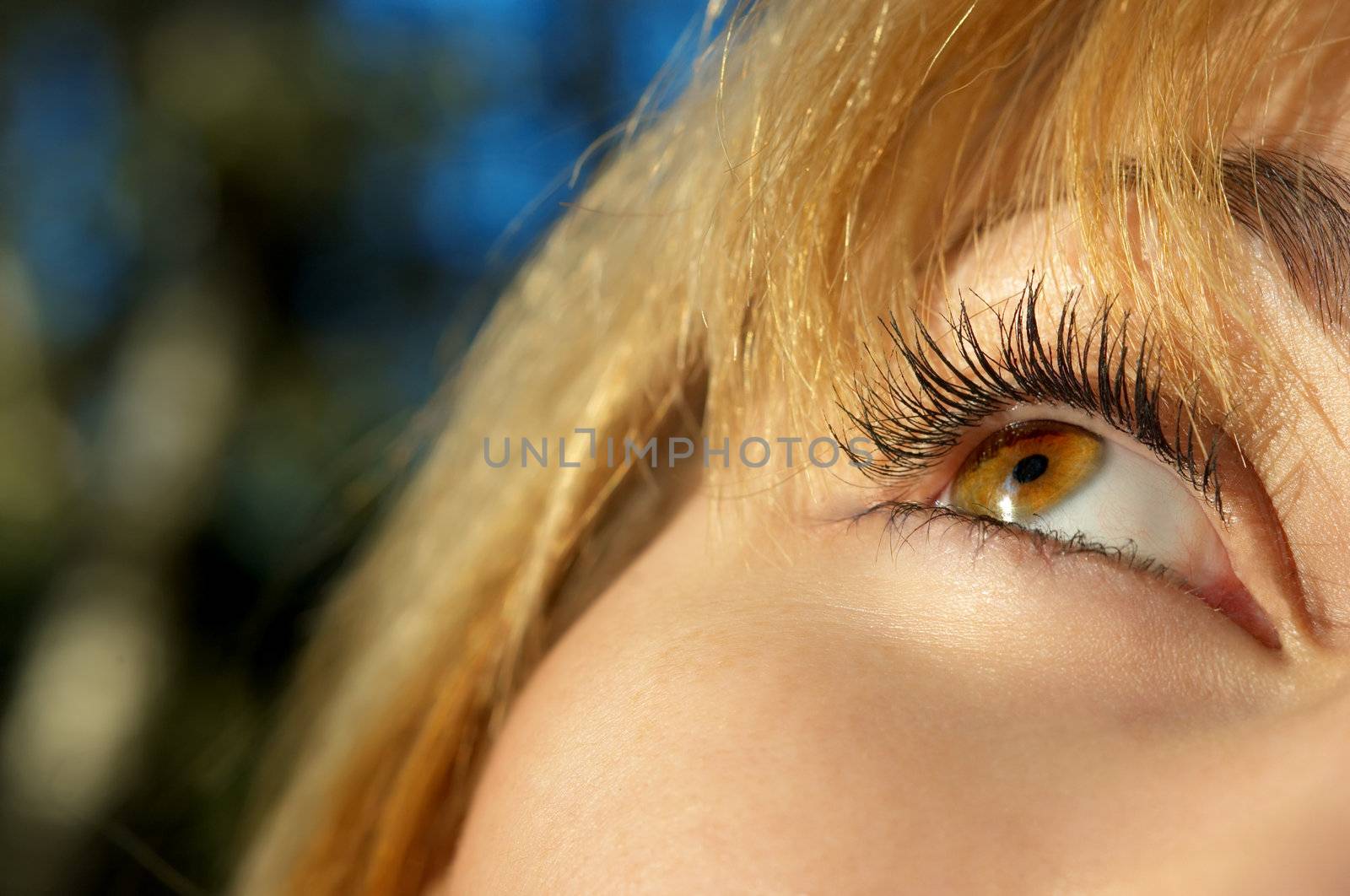 beautiful blond girl's eye closeup. selective focus.