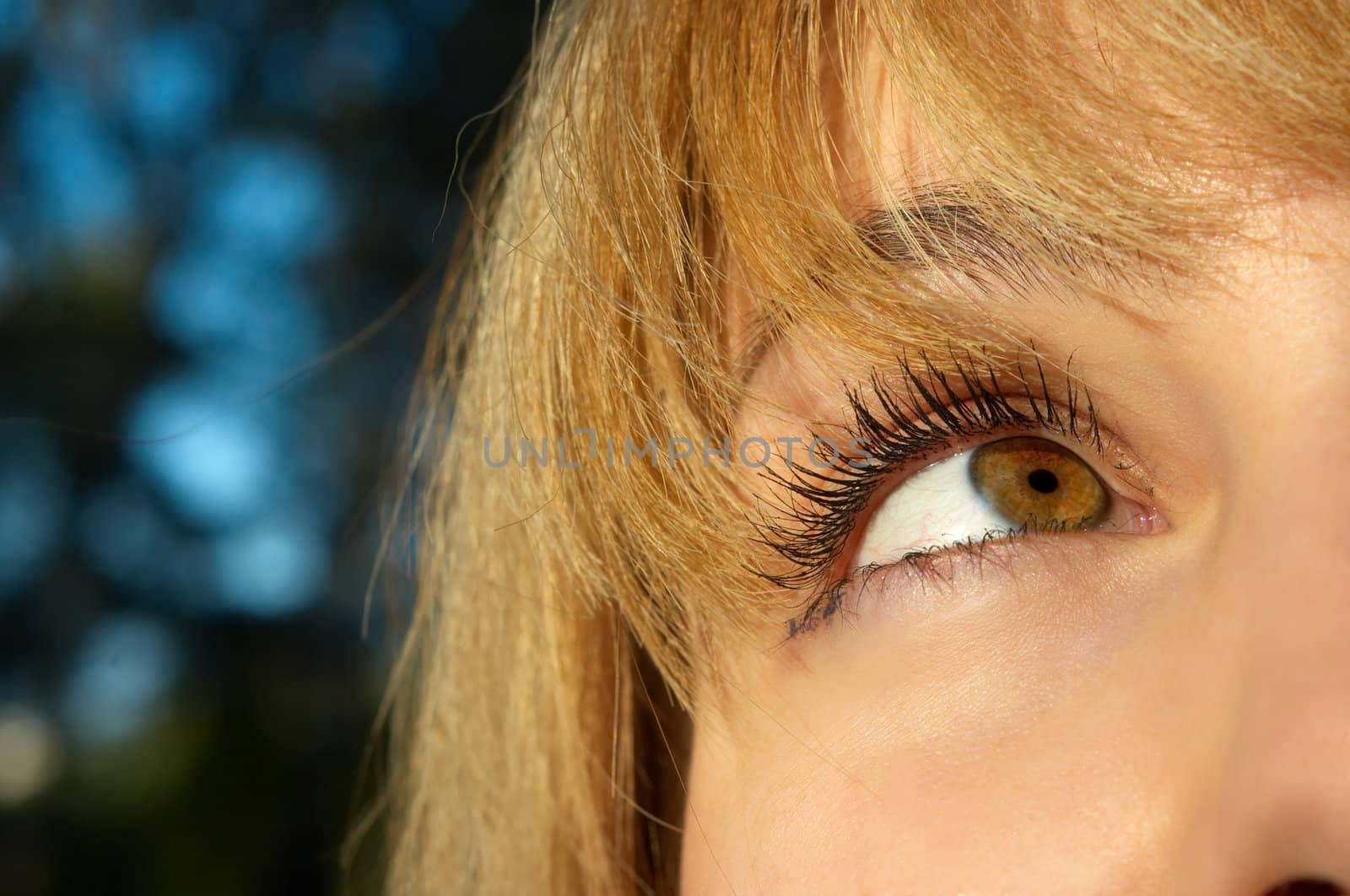 blond girl's eye closeup by starush