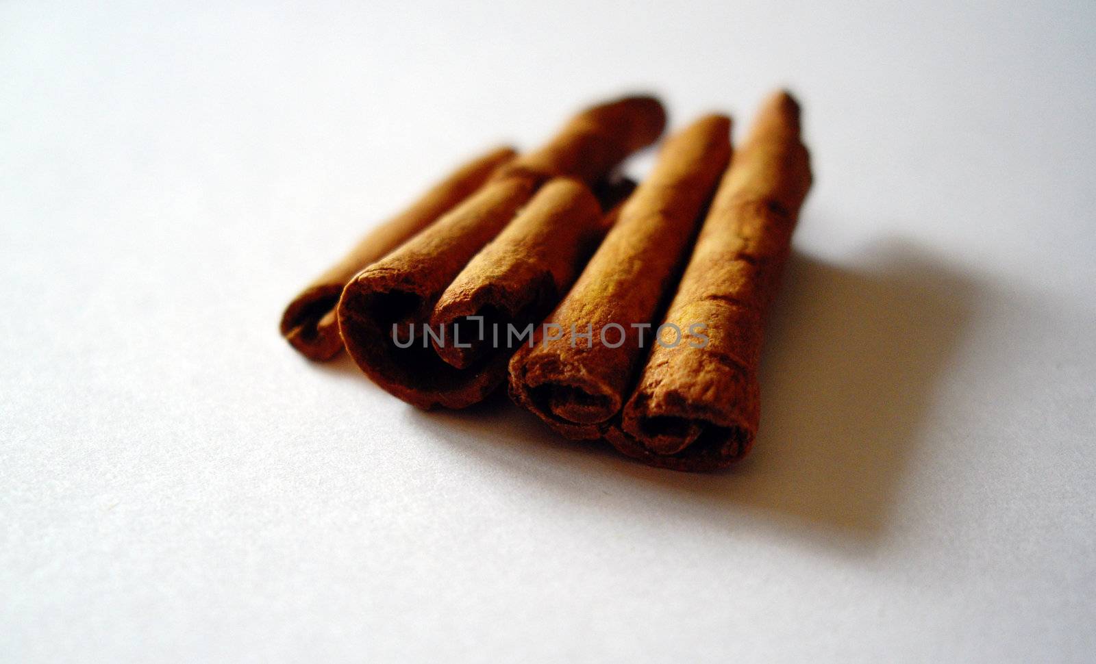 Cinnamon by Elet