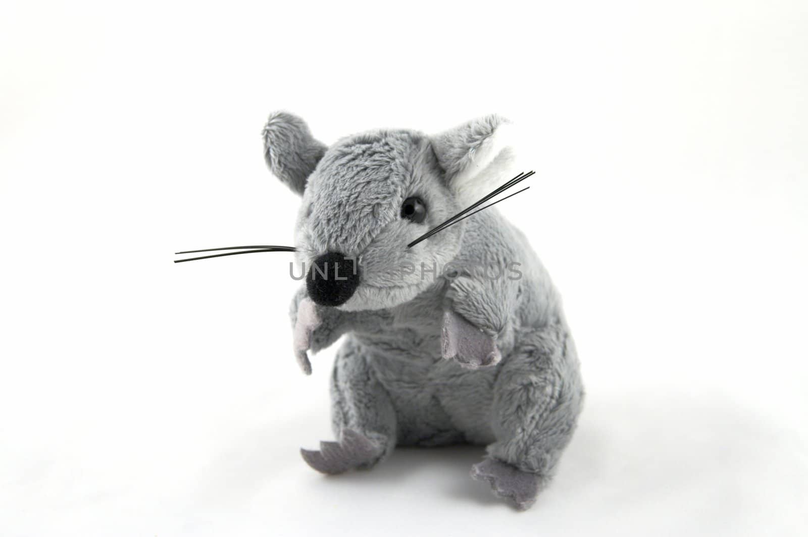 The grey toy mouse on a white background