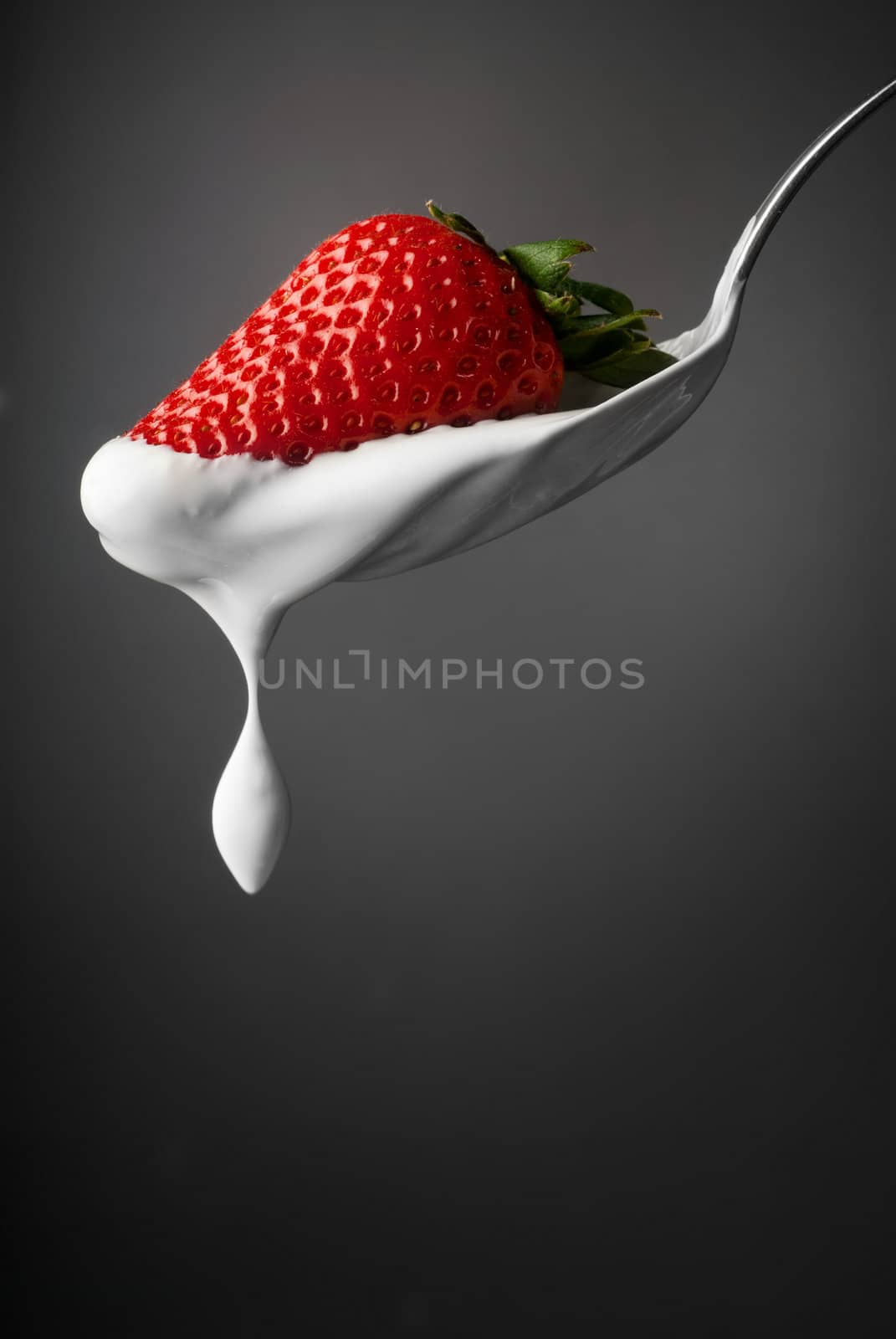 Juicy strawberry and dripping cream from a spoon isolated on gray
