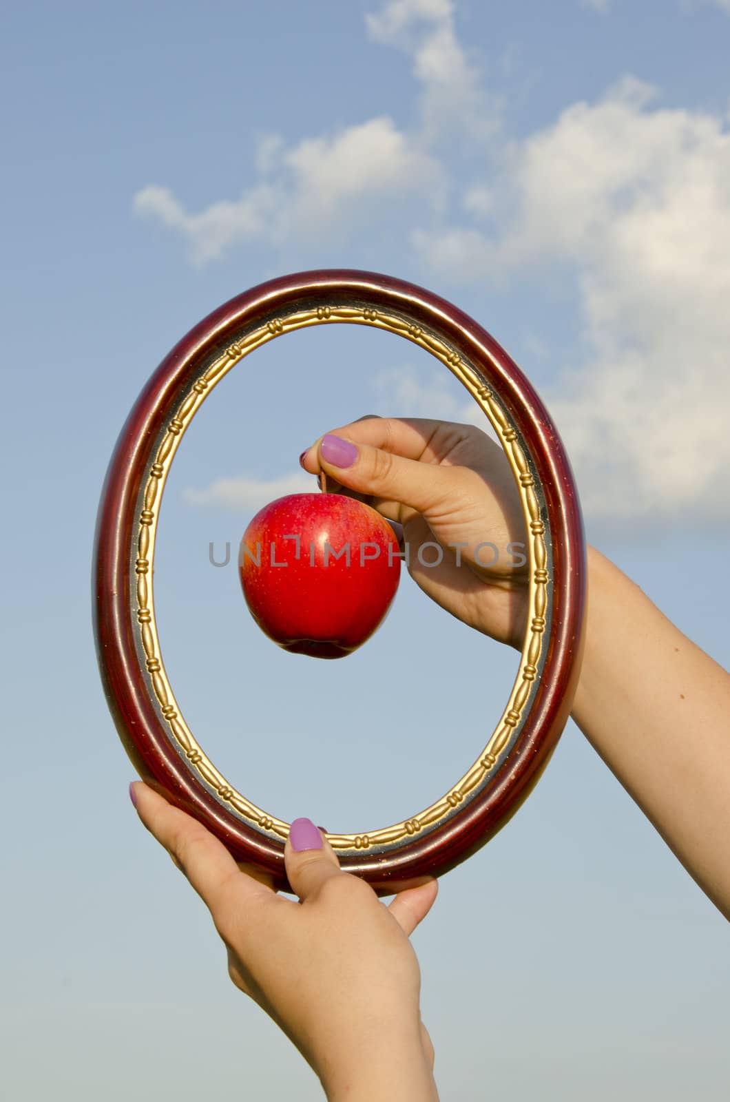 woman hands with frame and apple by alis_photo