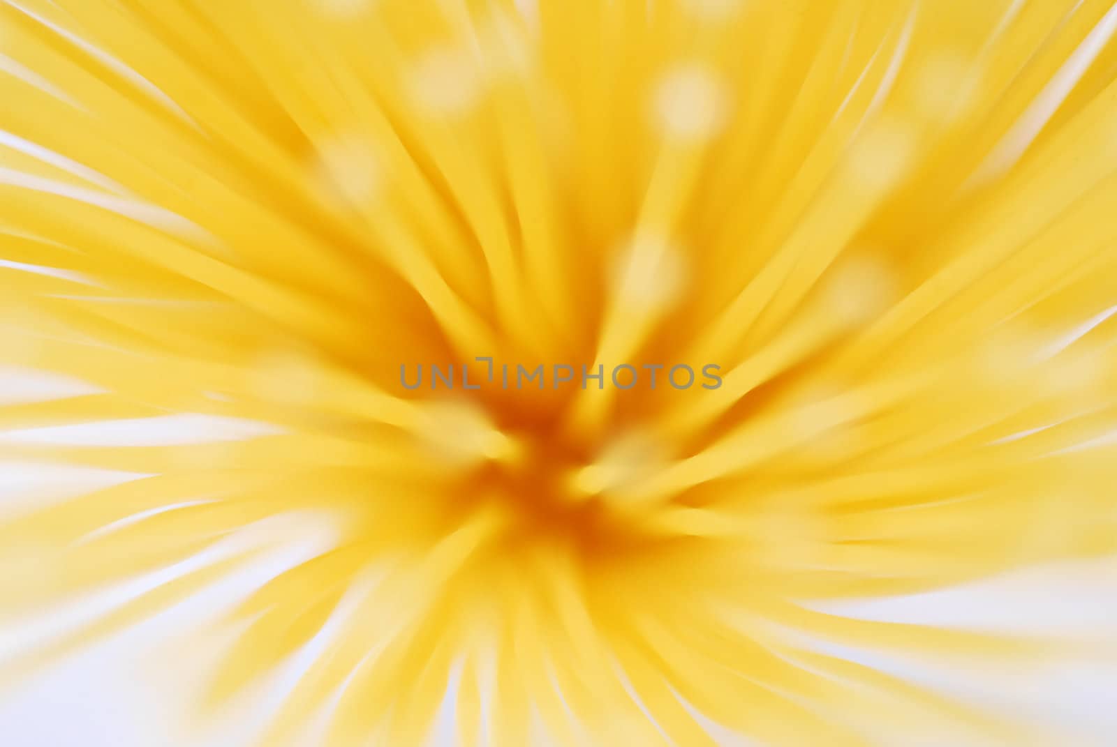 Extreme closeup of yellow spaghetti with focus blur