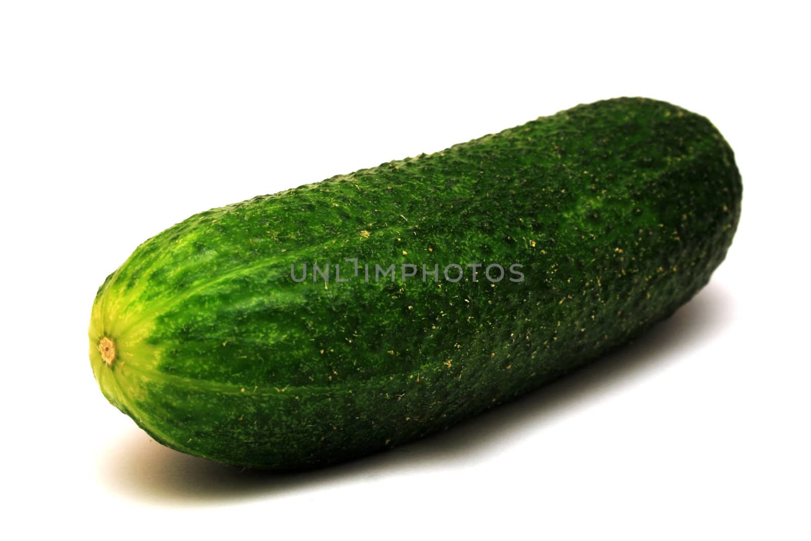 Foto of big green cucumber on white background