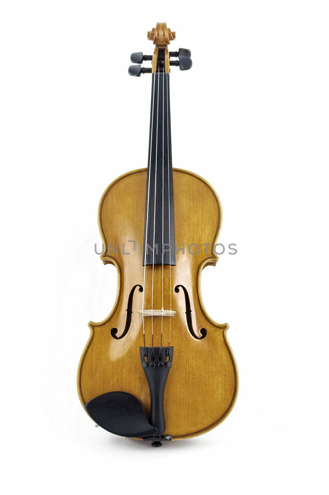 Isolated italian Violin by rigamondis