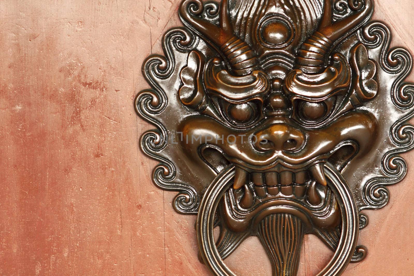 Doorknocker on allwood door. 