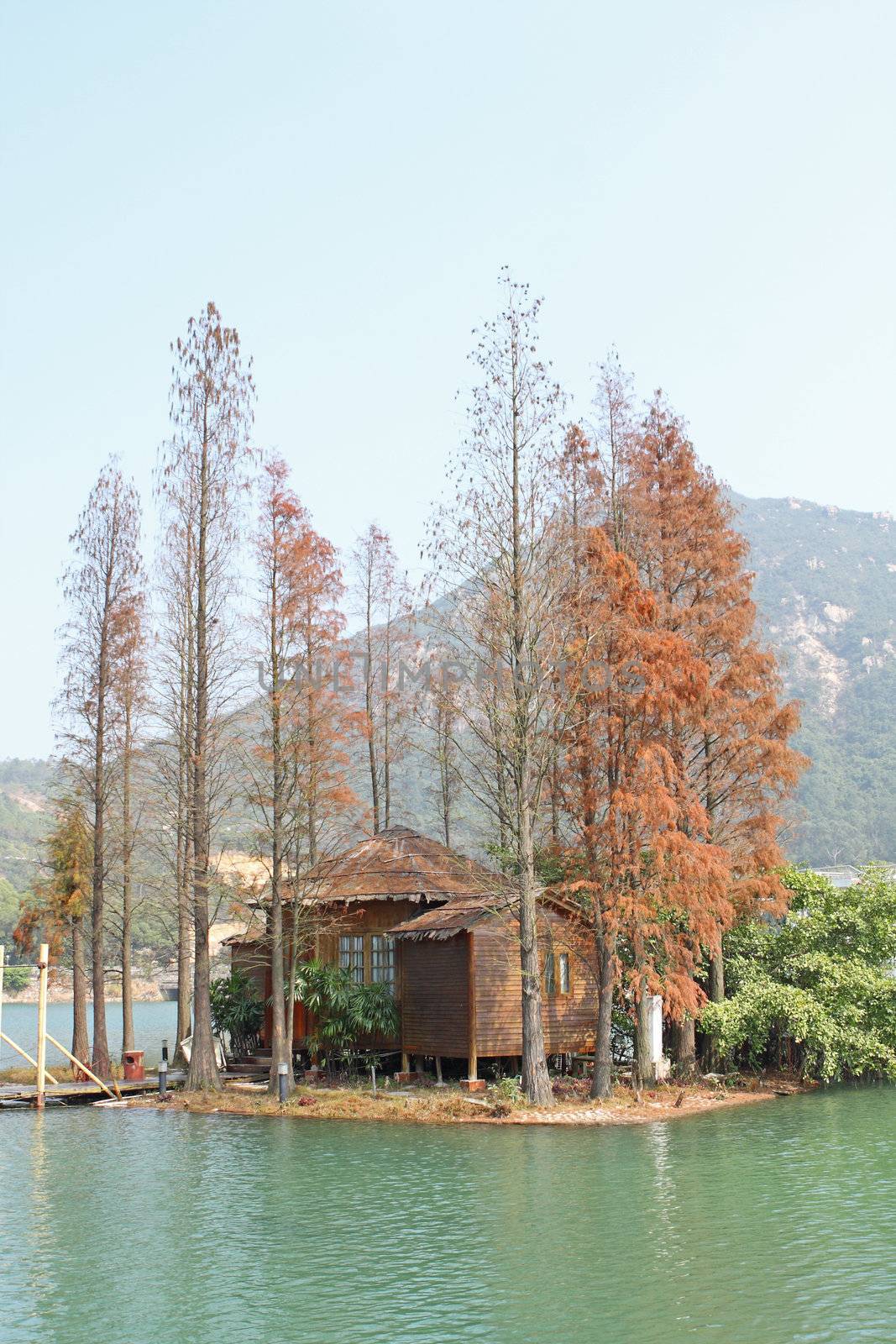 wood house on water and trees