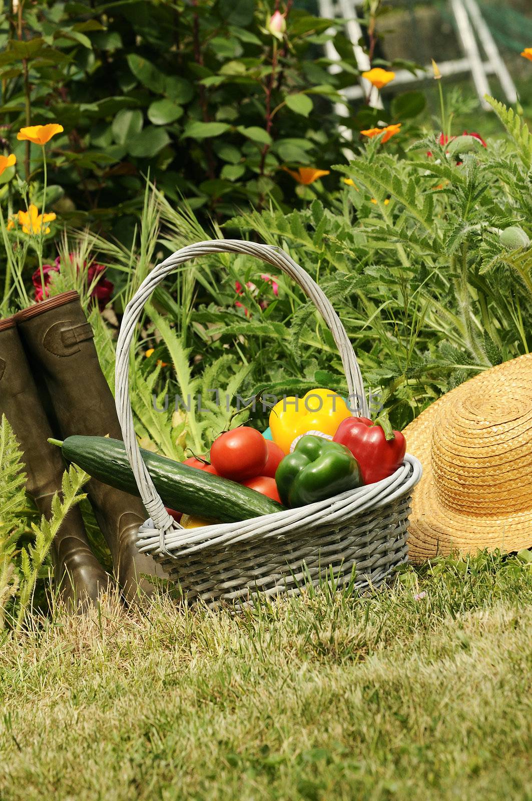 basket of vegetables and in a botanical garden