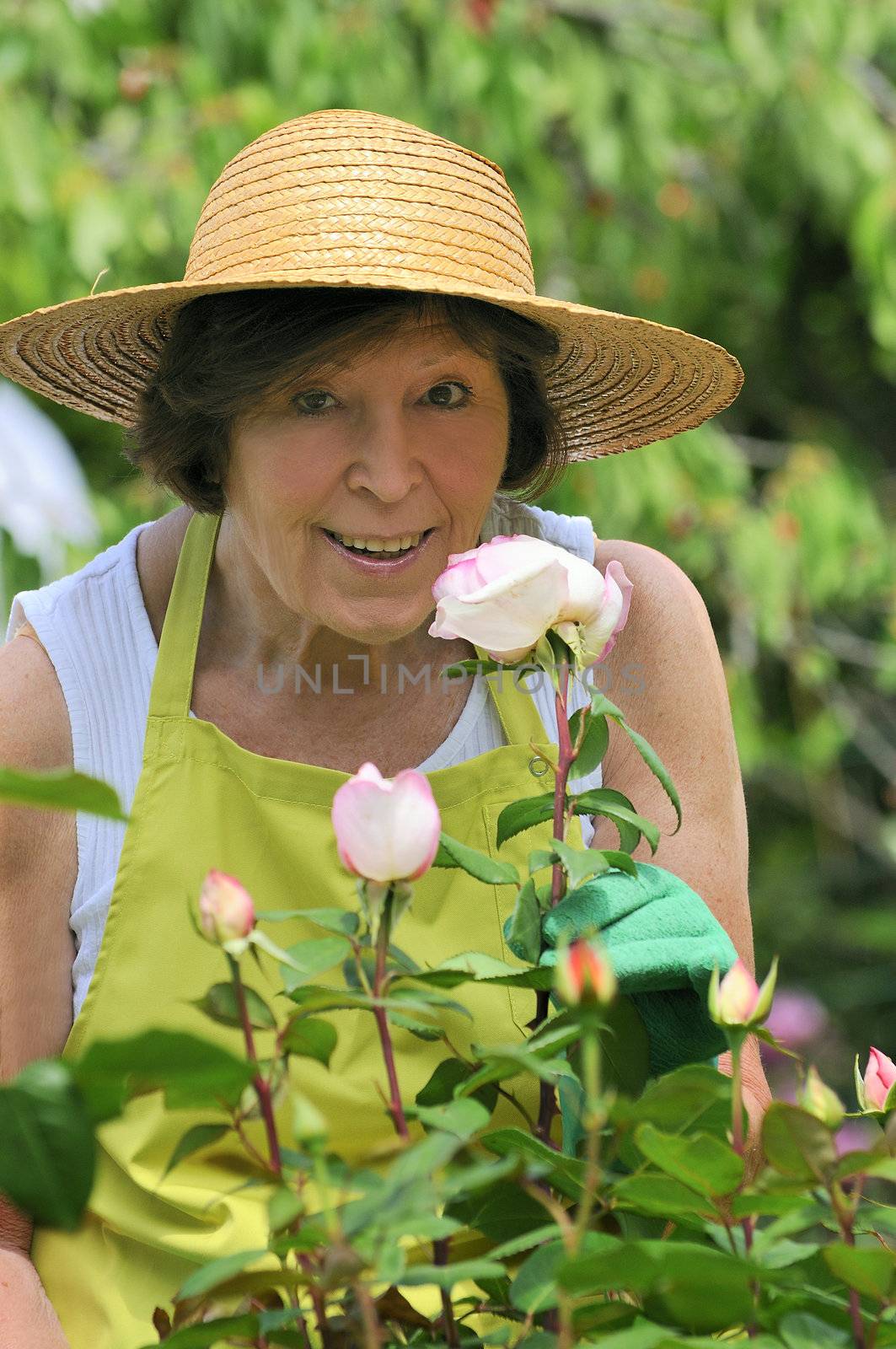 Senior woman is smiling roses in her garden