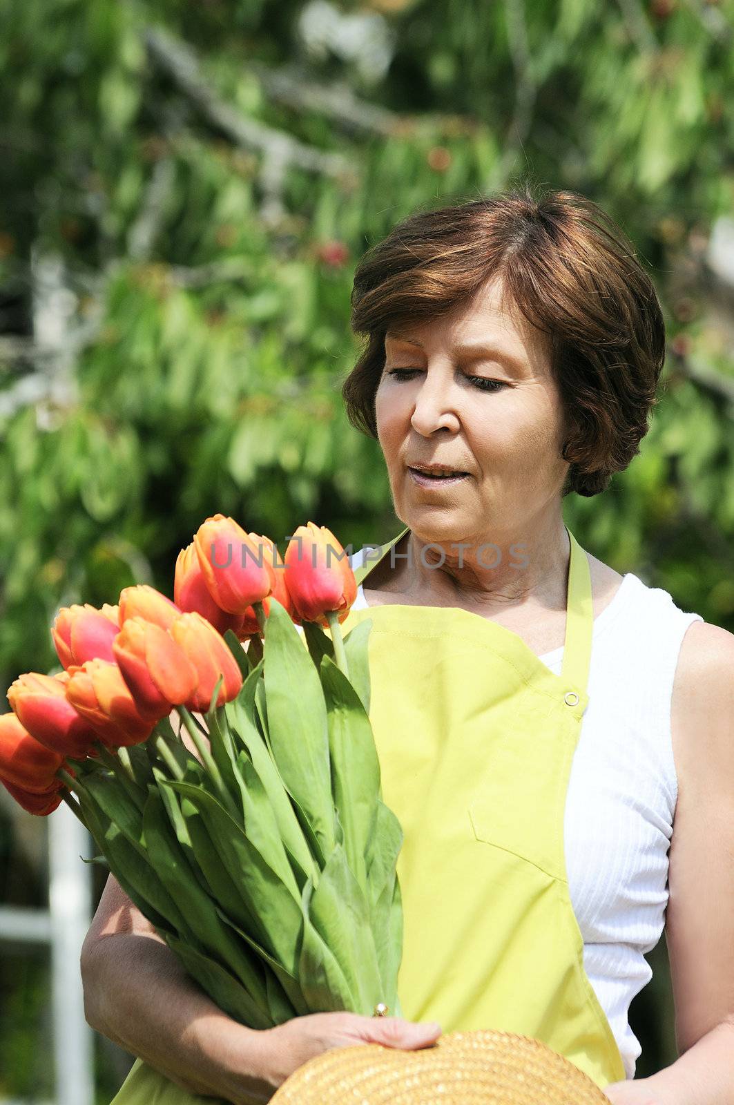 tulips woman by ventdusud