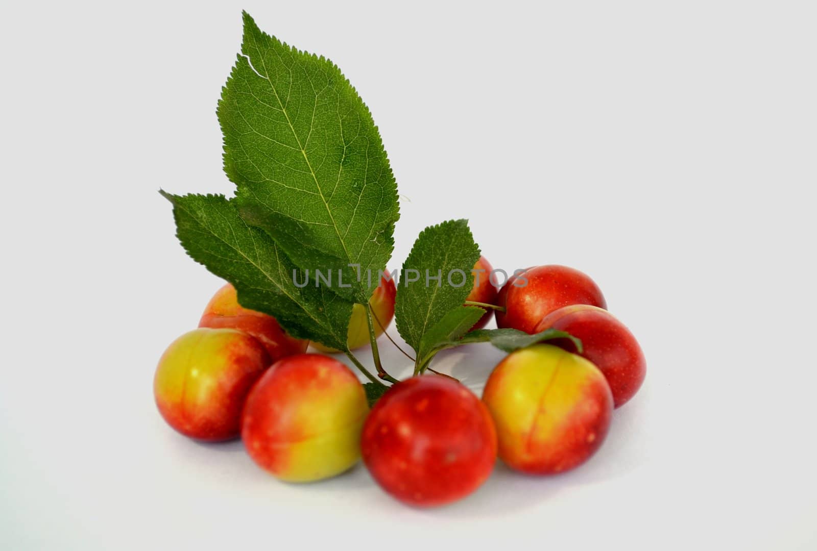 juicy plum on a white background