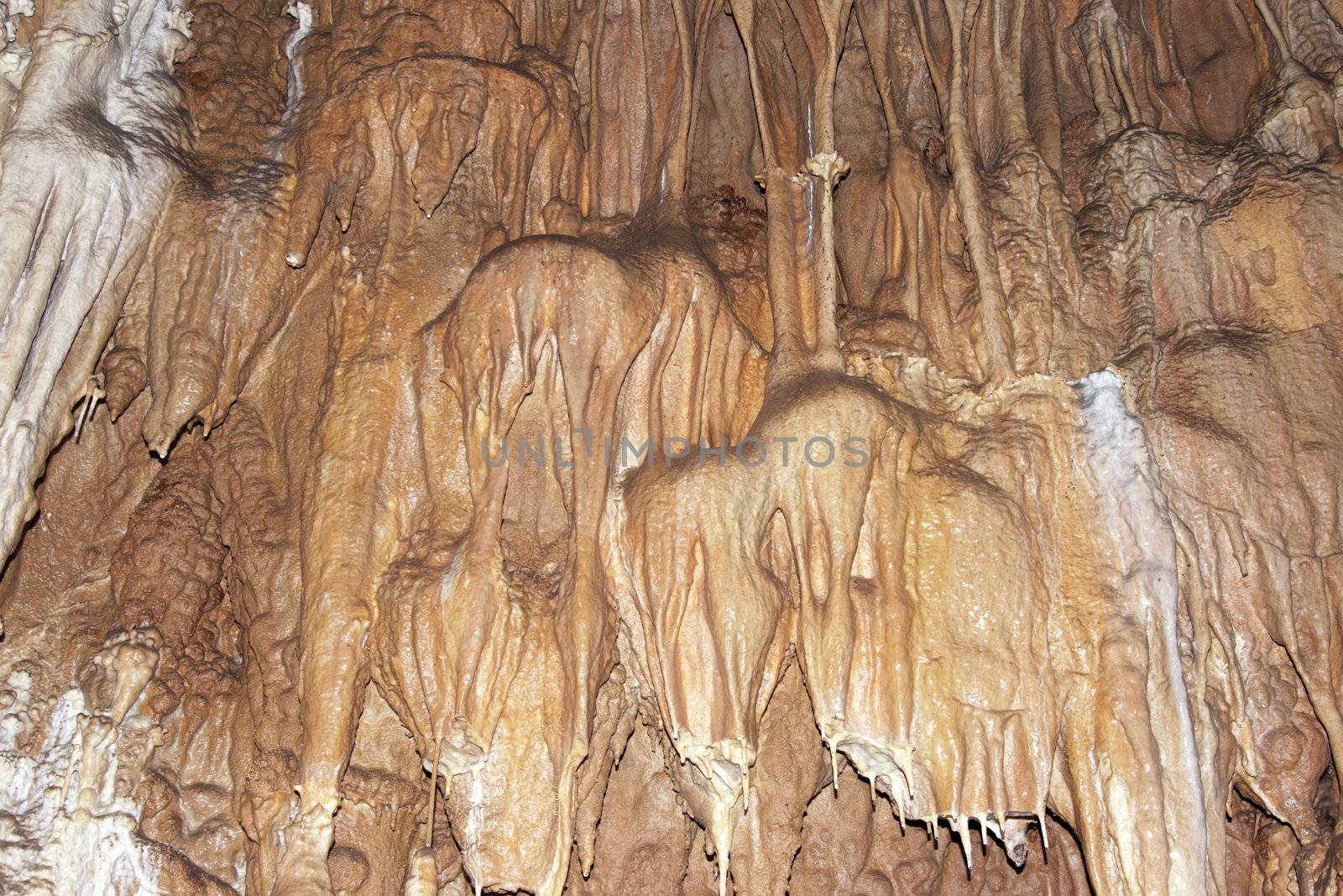 Javoricske caves are located in central Moravia, about 10 miles west of Litovel city. Underground cave system Javorice a complex of corridors, domes and divides. Cave excel beautiful stalactite formations.
Javorice, Moravia, Czech republic.