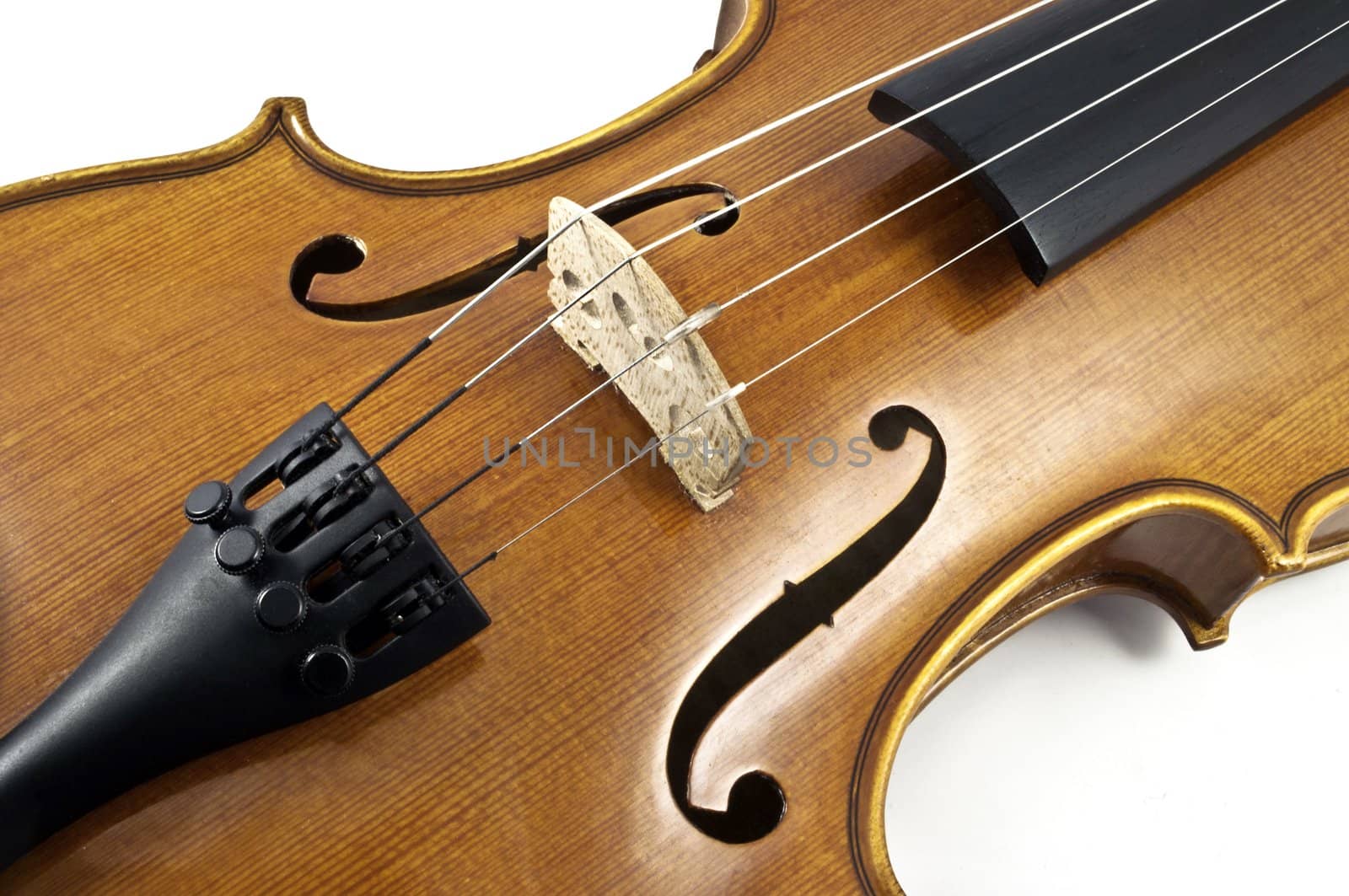 Italian wooden violin Chord details on white background