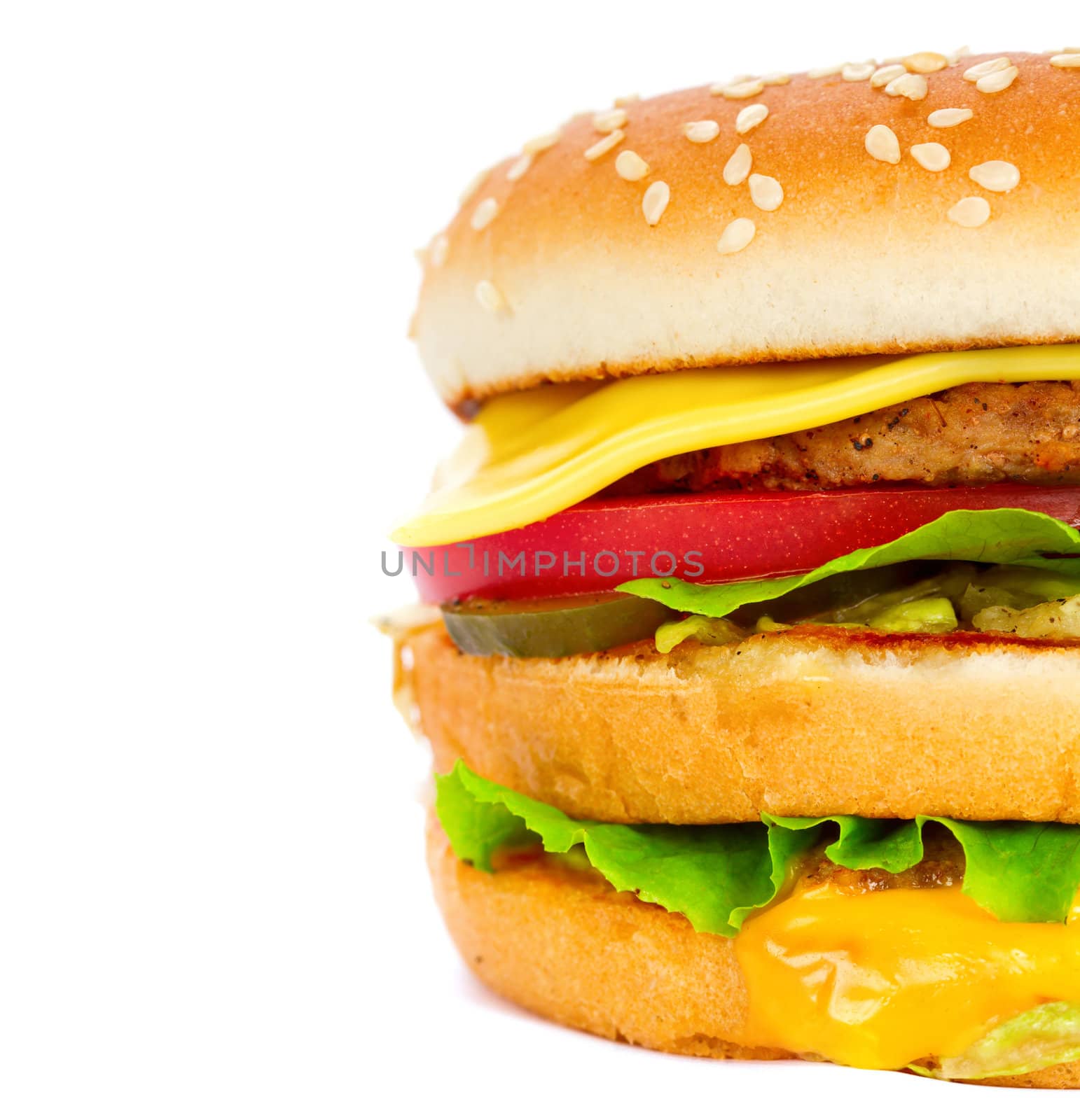 cheeseburger isolated on white by Bedolaga