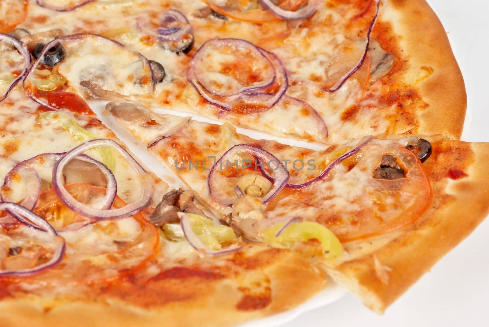 vegetable pizza closeup with tomato, Bulgarian pepper, onion, olive, champignons and mozzarella cheese