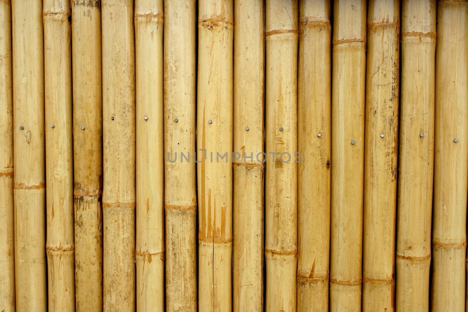 Bamboo background by liewluck