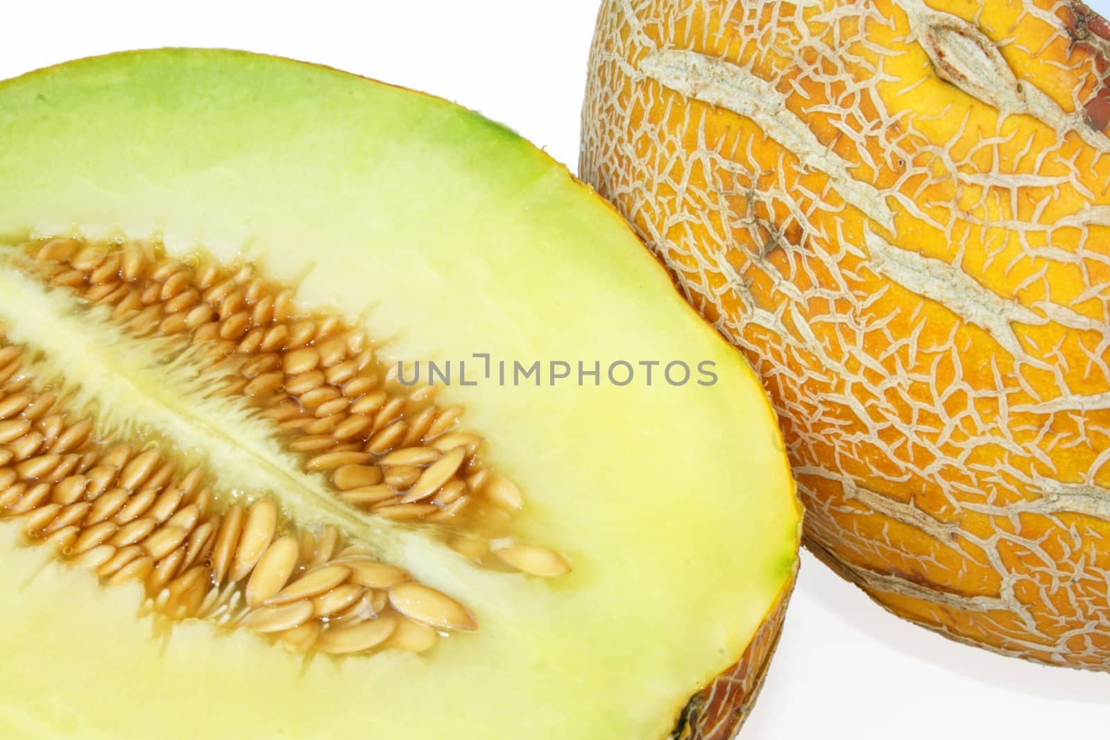 yellow melon at the white background