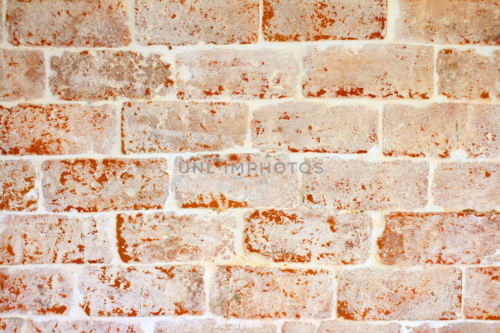 Brick Wall by liewluck