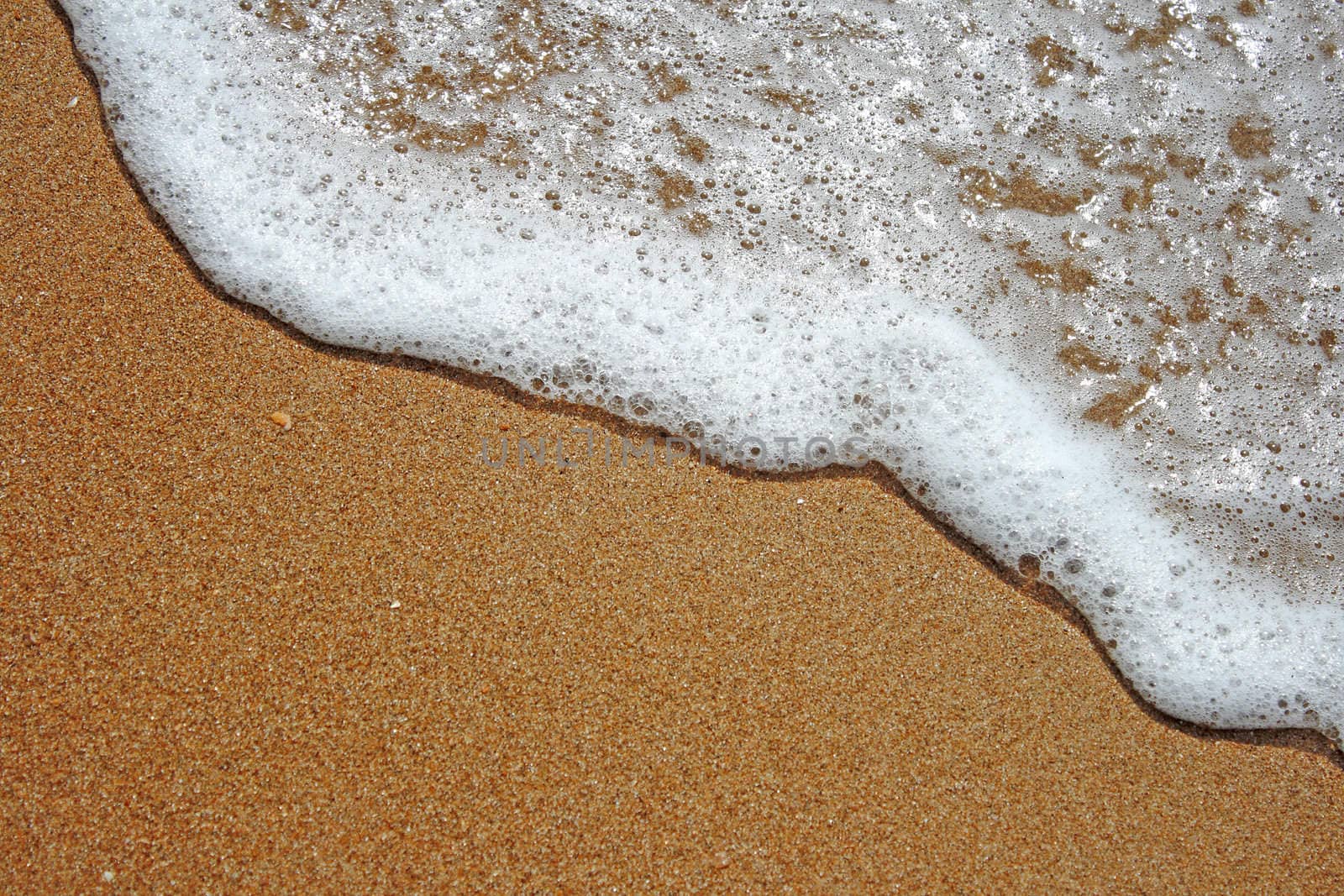 Ocean wave and tropical beach