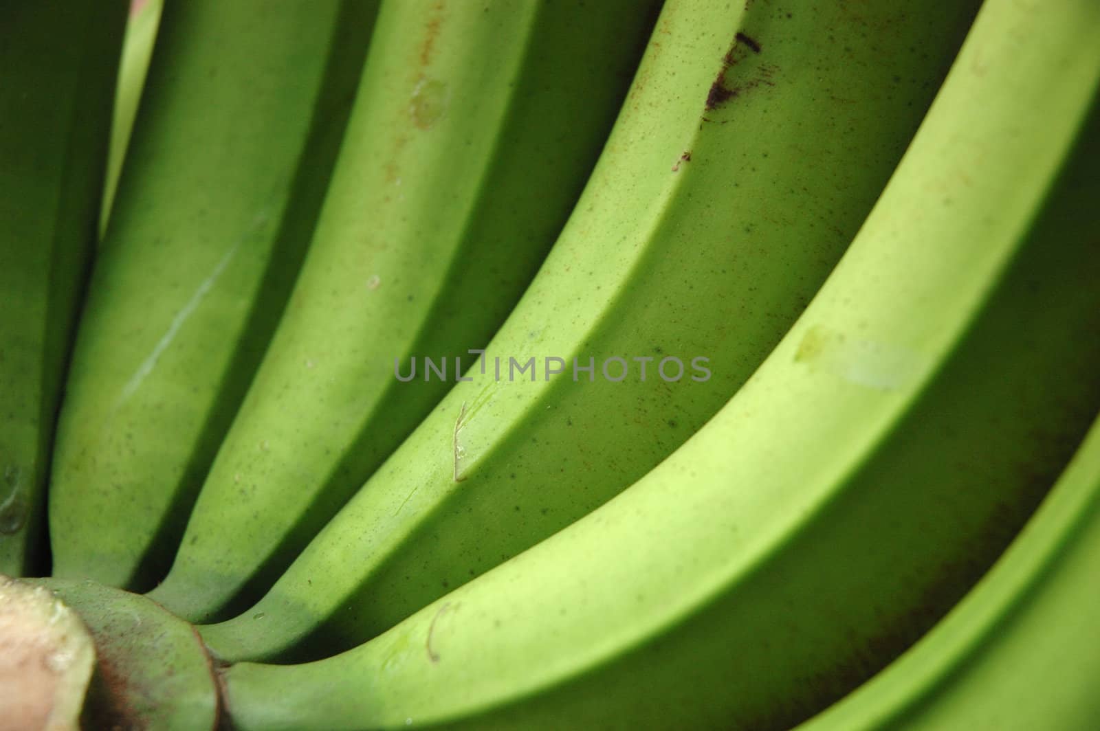 a bunch of banana that good for healthy food