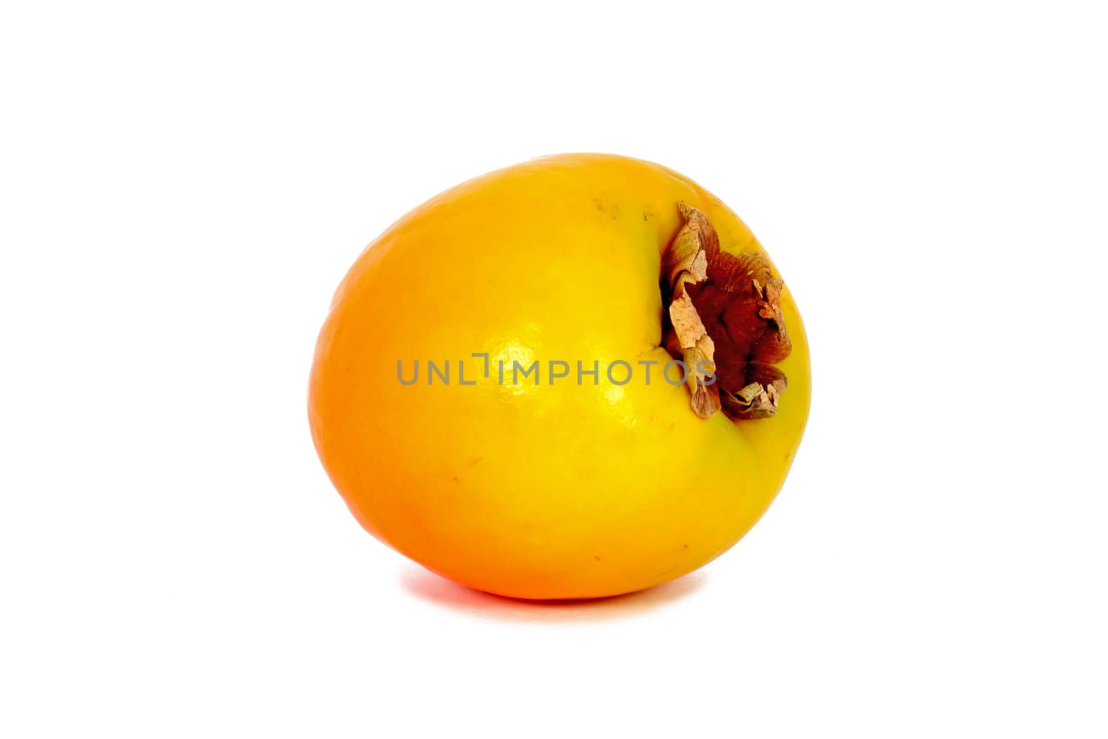 Japanese persimmon or Fuyu fruit isolated on white