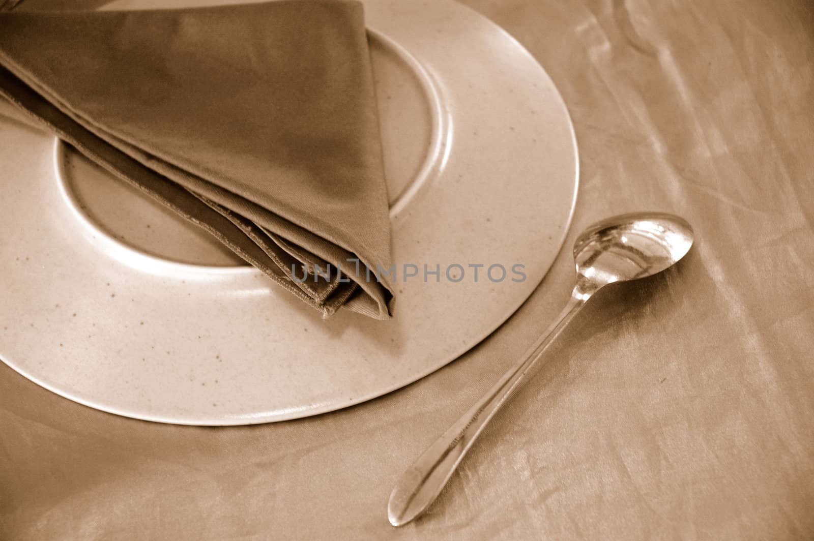 a place setting with silver spoon, dinner napkin and china plate