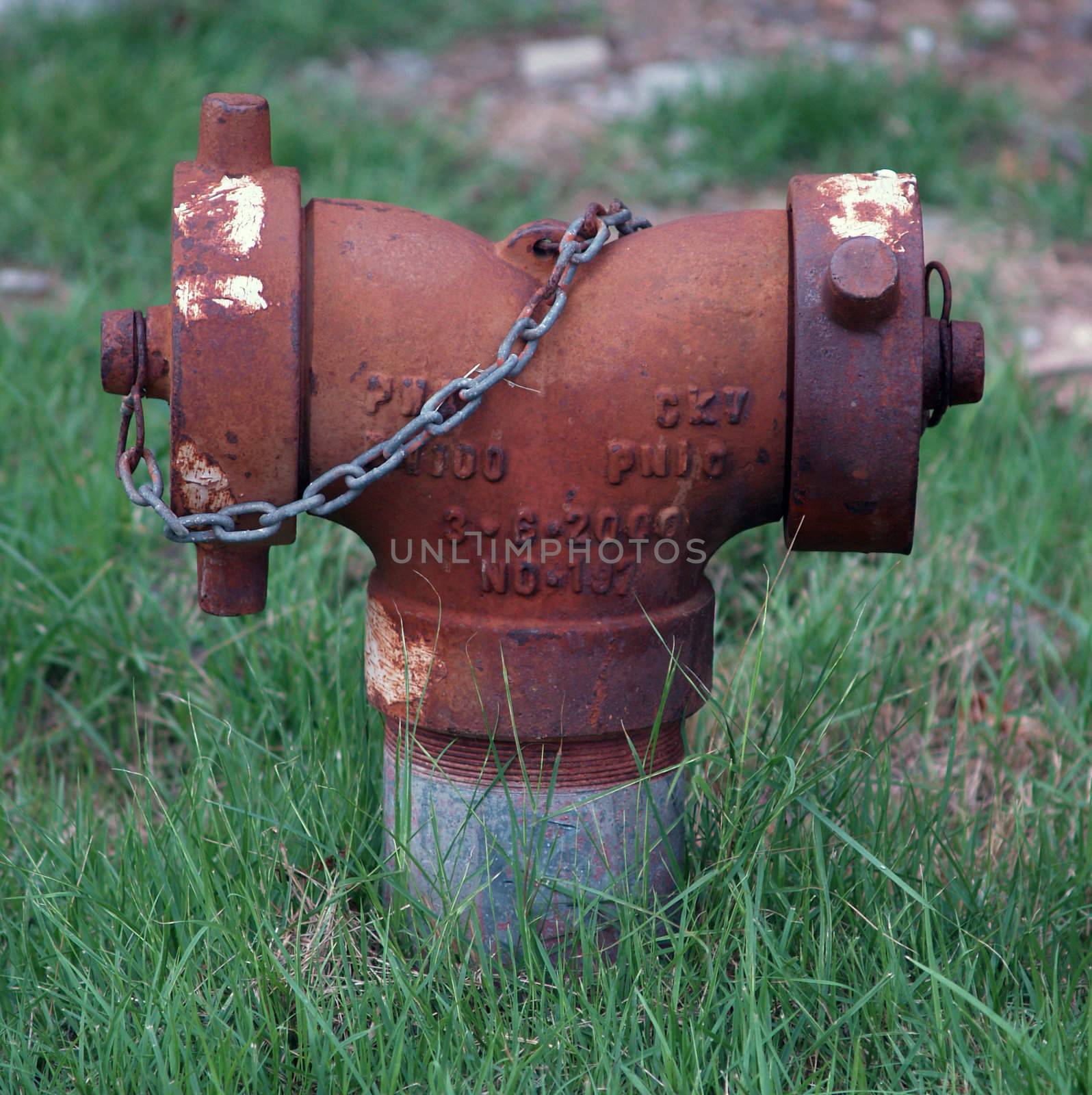 Red fire hydrant in green field