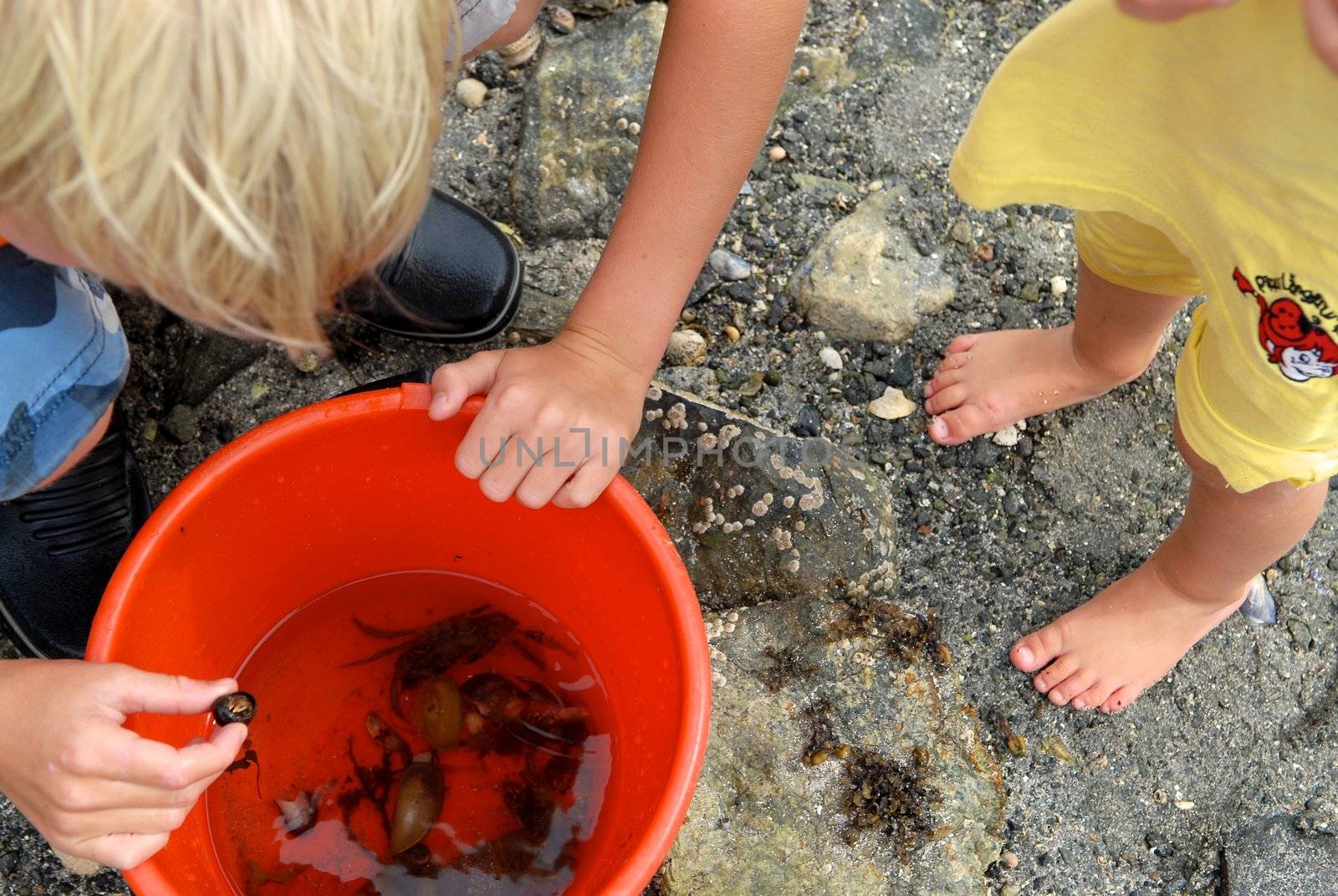 Scandinavian Lifestyle - catching crabs by Bildehagen