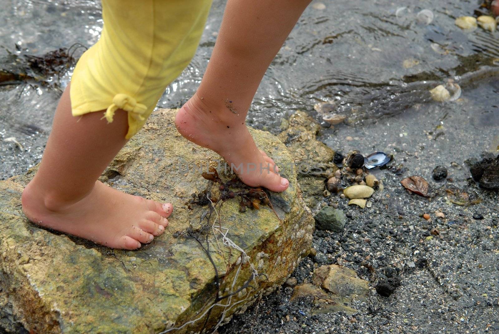 catching the shells. Please note: No negative use allowed.