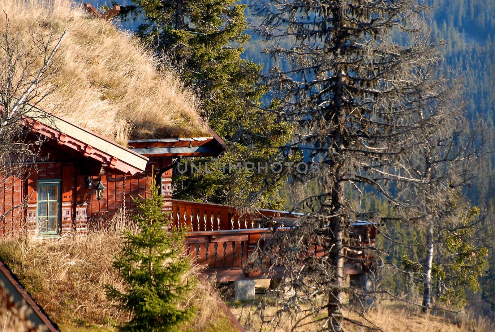 a log cabin. Please note: No negative use allowed.