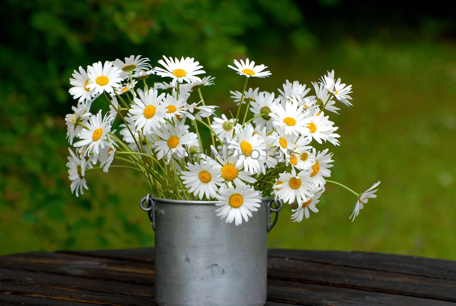 white flowers. Please note: No negative use allowed.