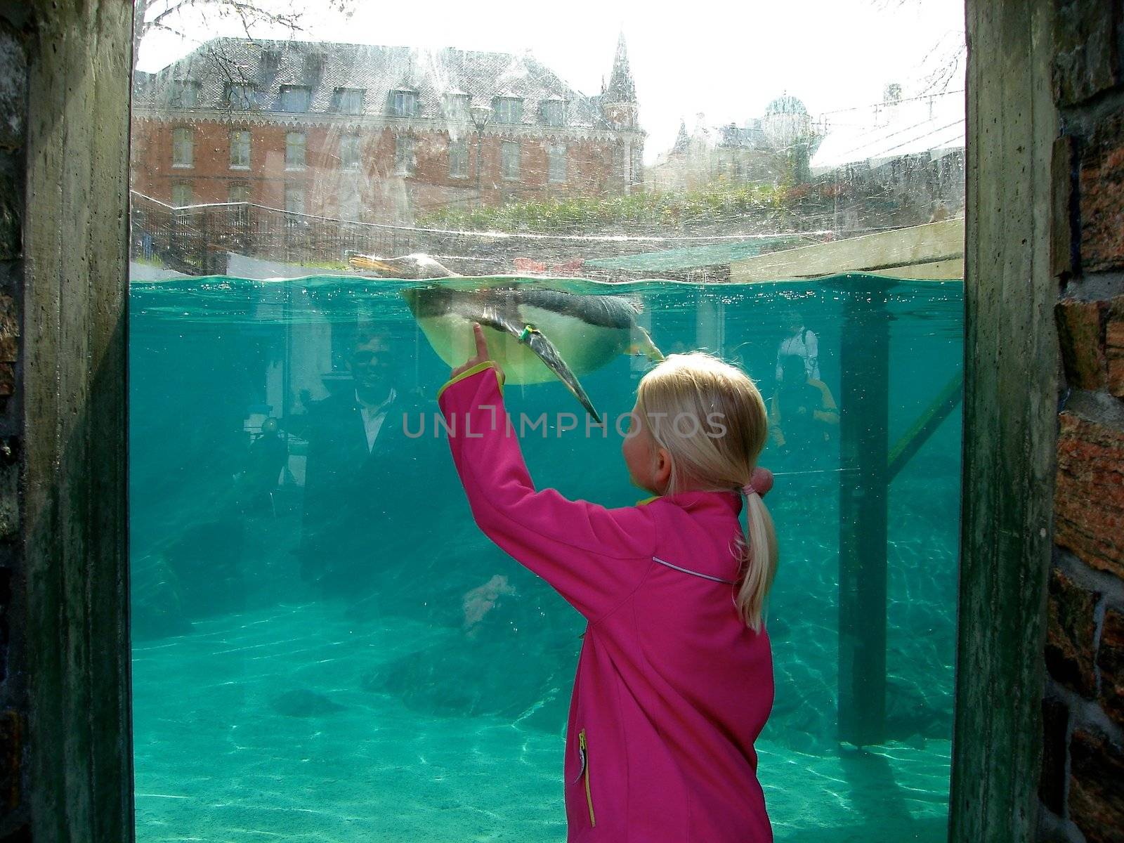 little girl in aquarium, Norway. Please note: No negative use allowed.